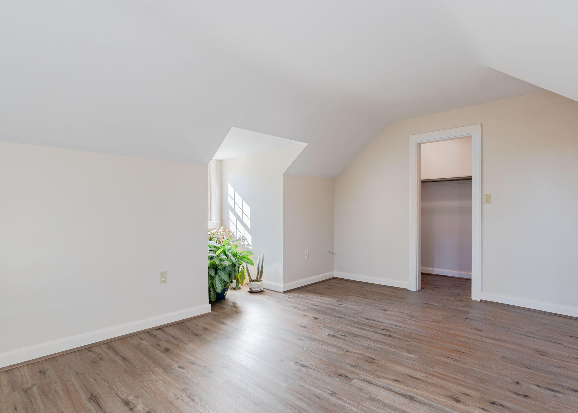 513 Roosevelt Trail