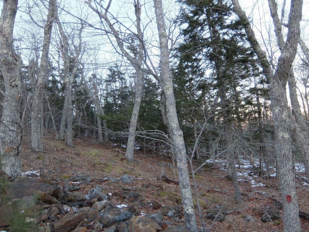 0 Hatchet Mountain Road