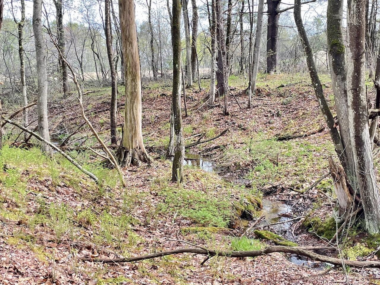 Lot 6 Coastal Pines