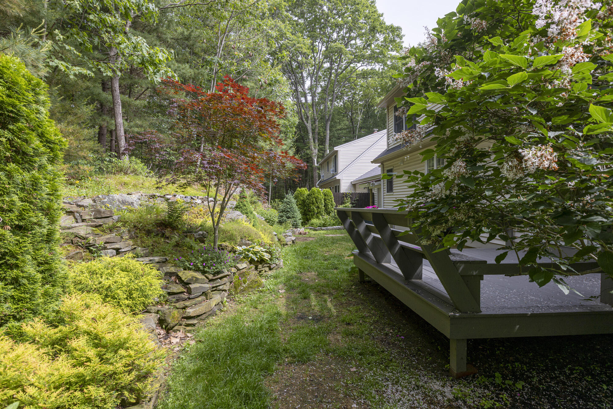3 Cape Woods Drive, 3