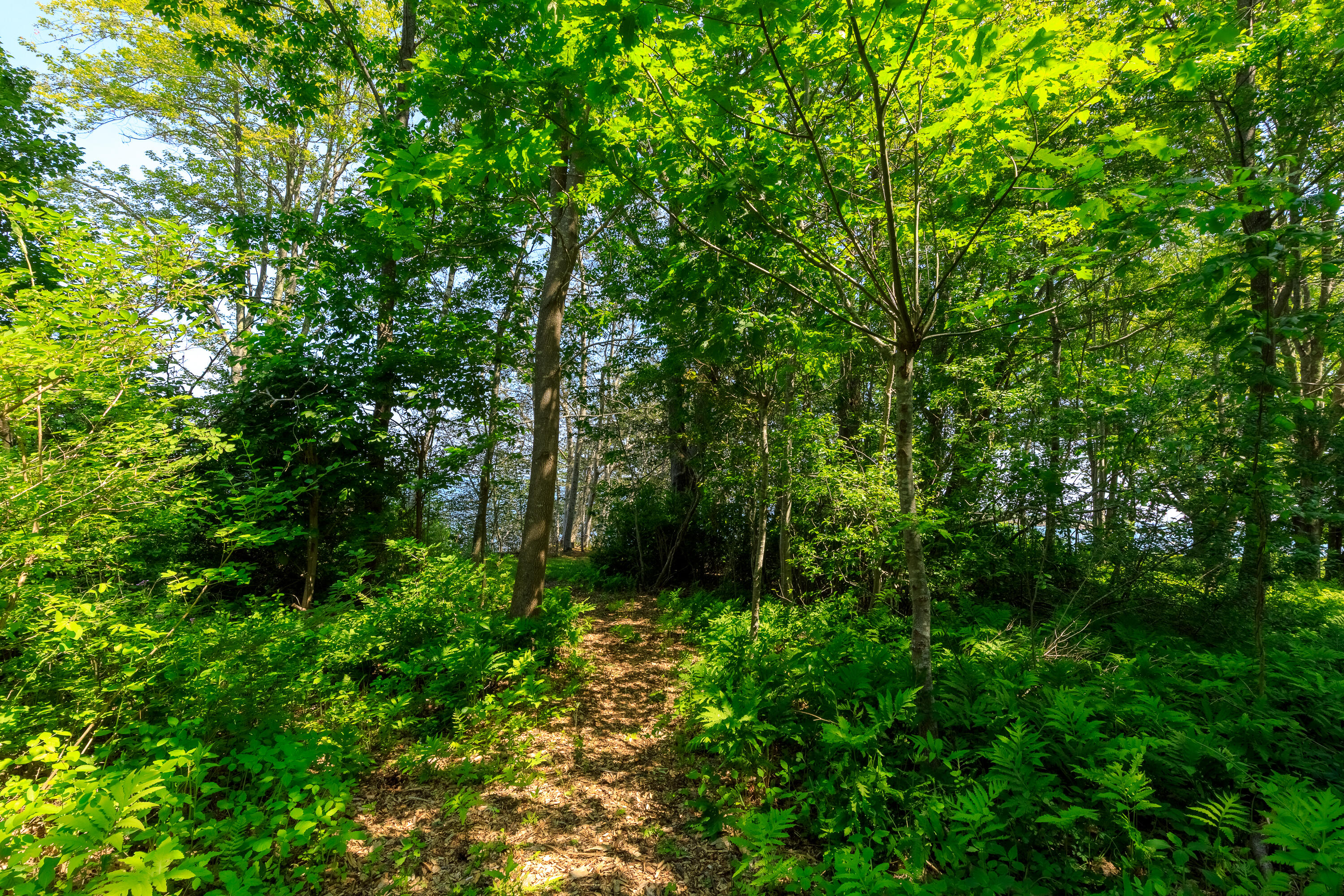 7 Central Landing Road