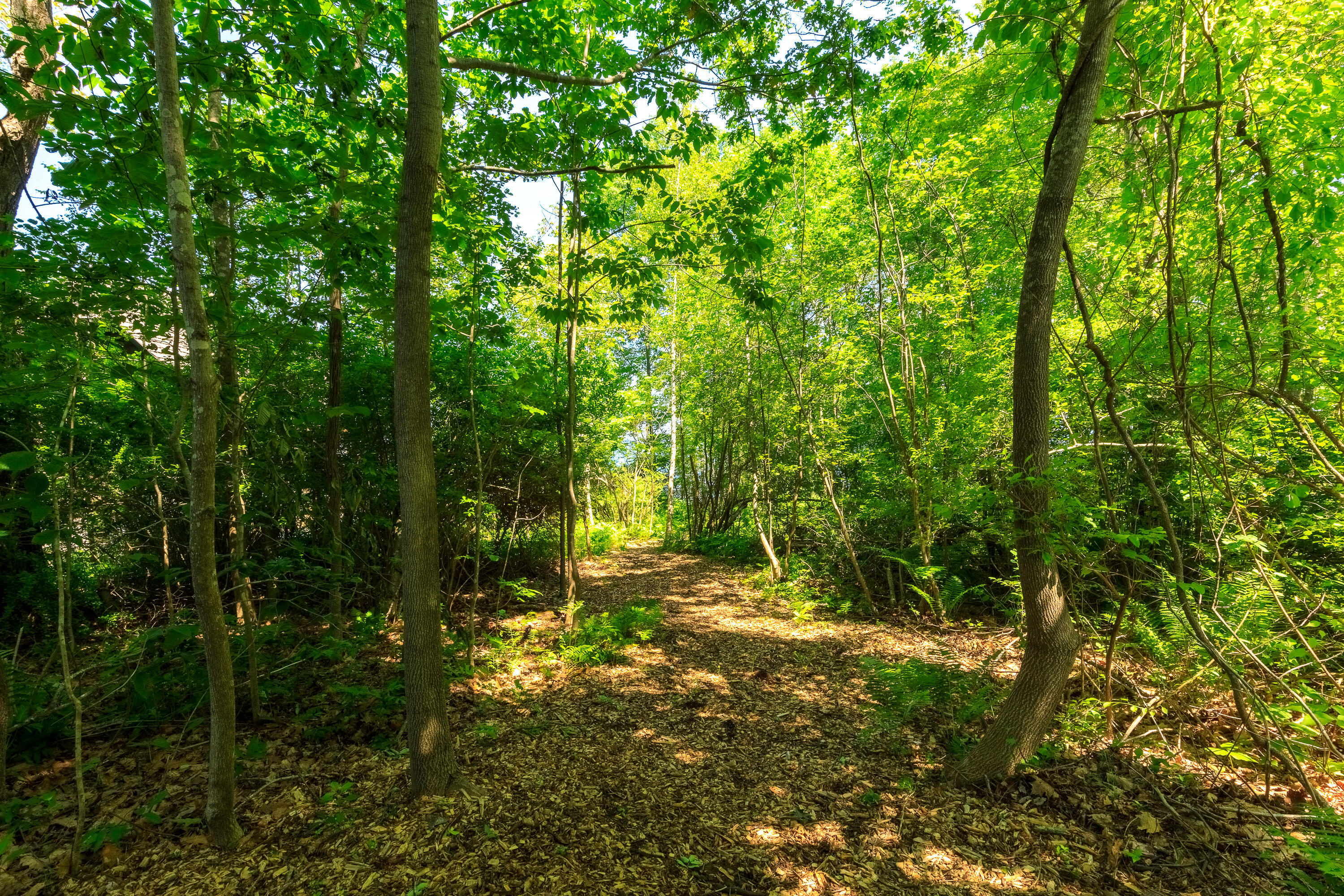 7 Central Landing Road