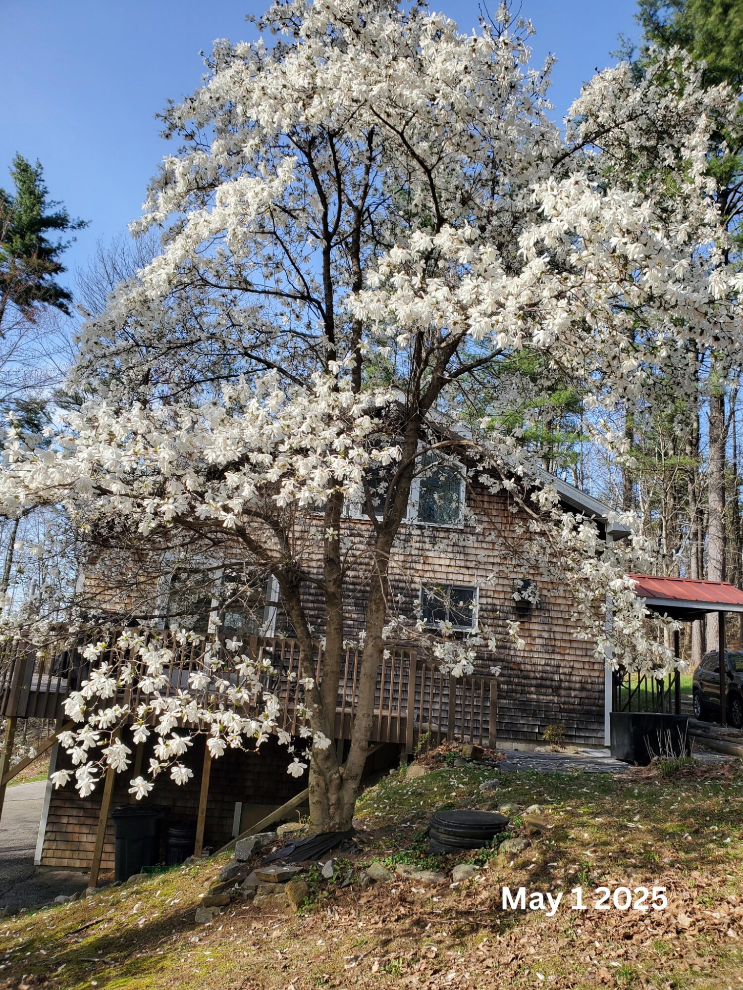 648 Beech Hill Road