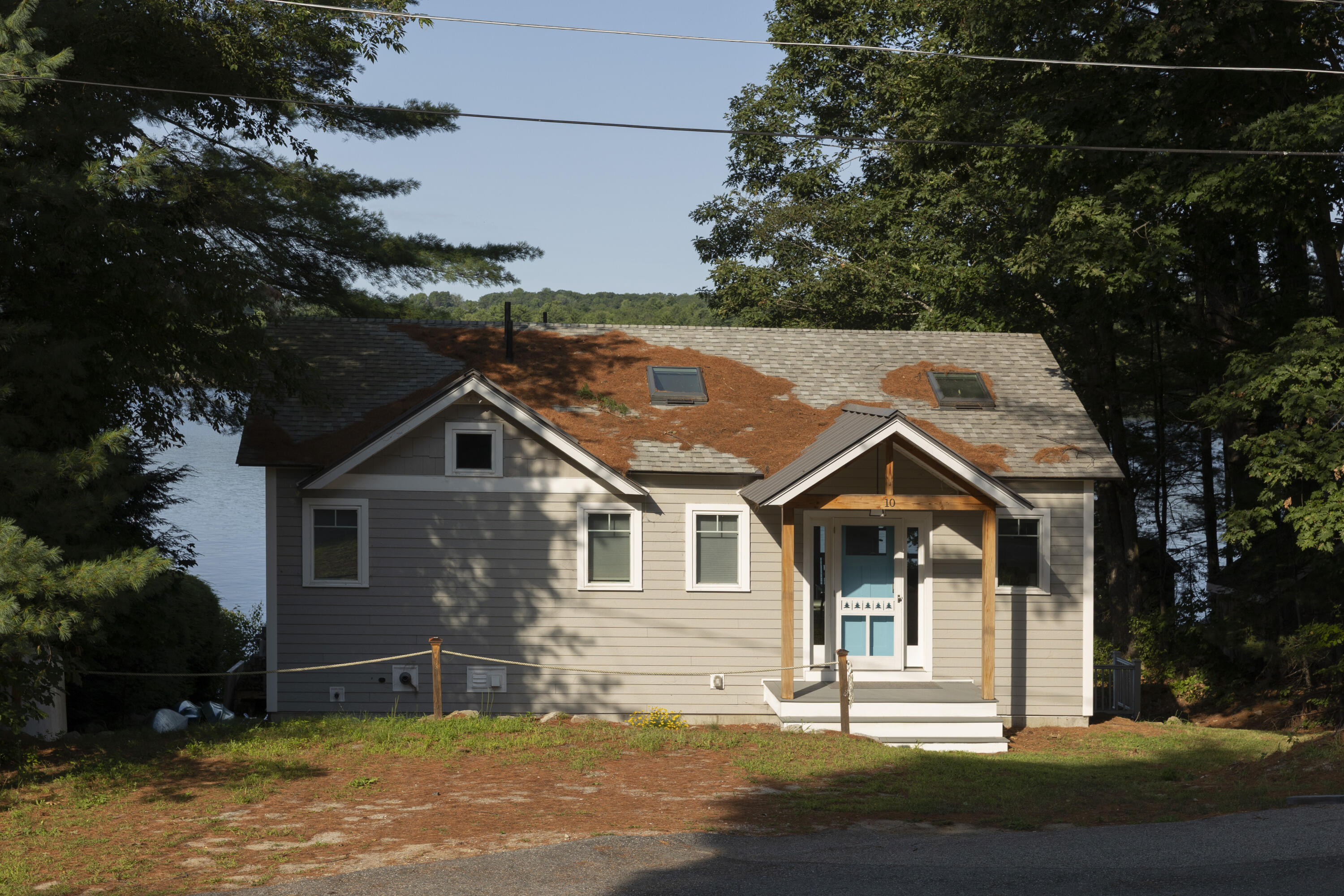 10 Harrison Pines