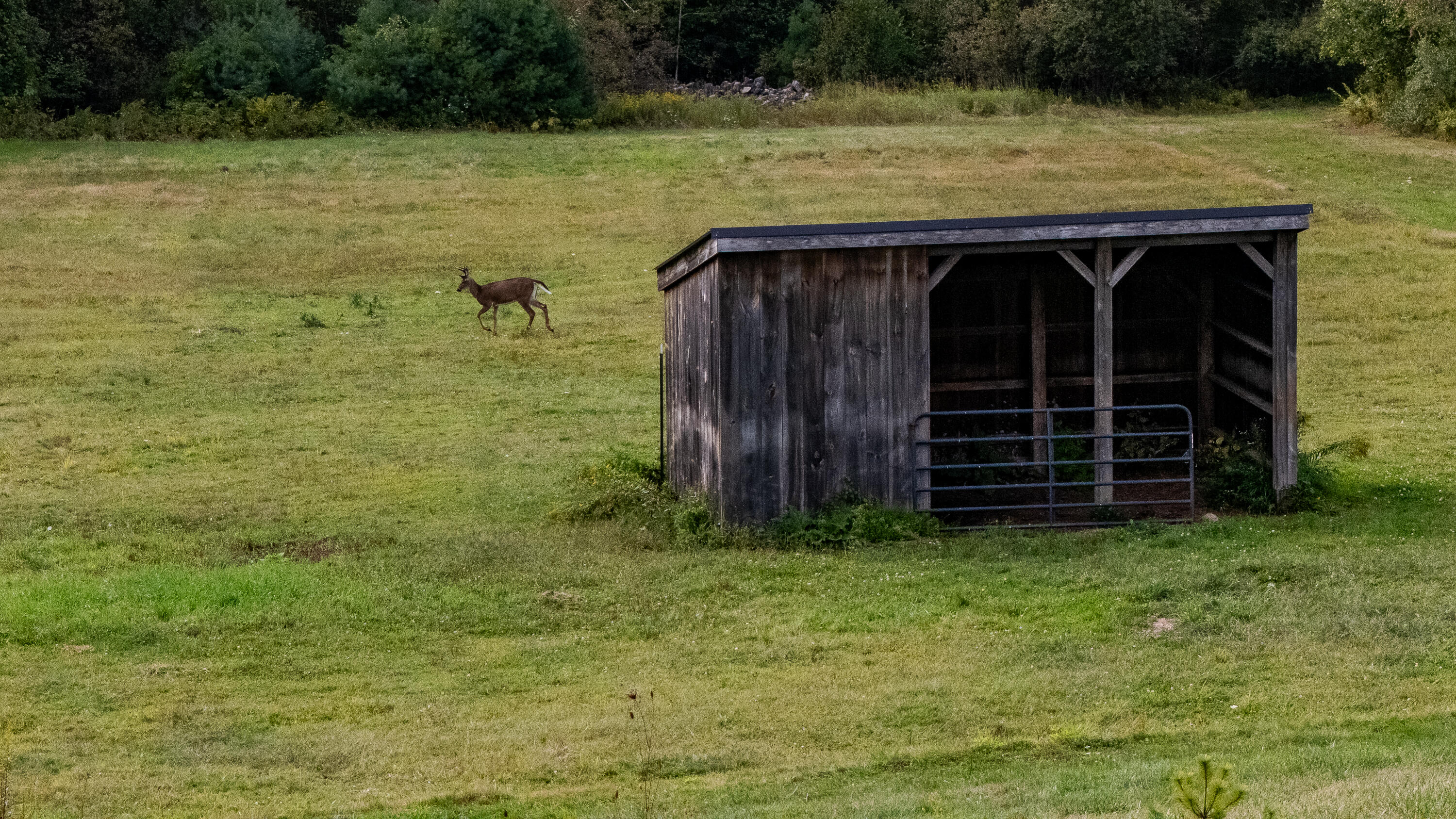 427 Mt Pisgah Road