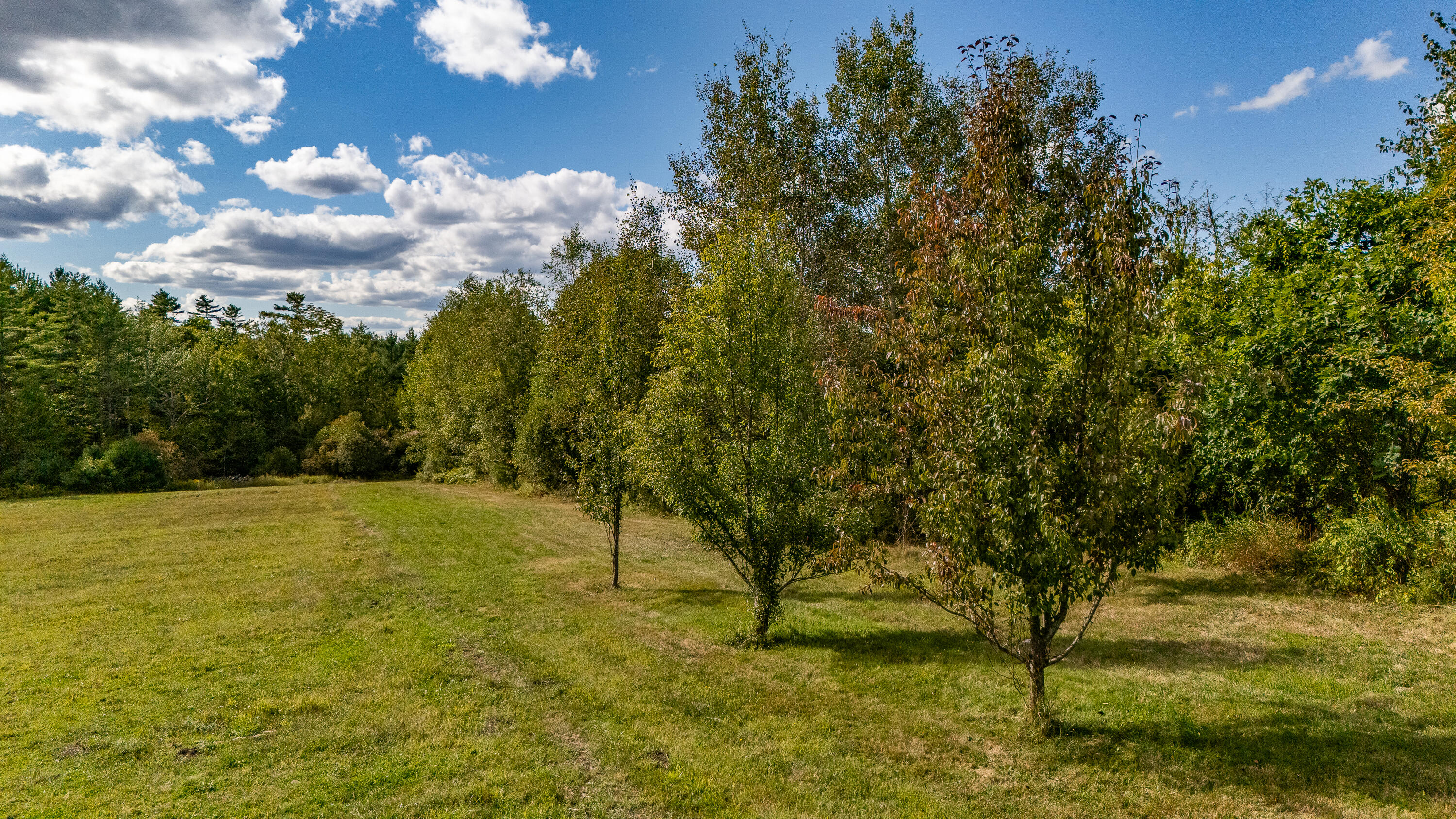 427 Mt Pisgah Road