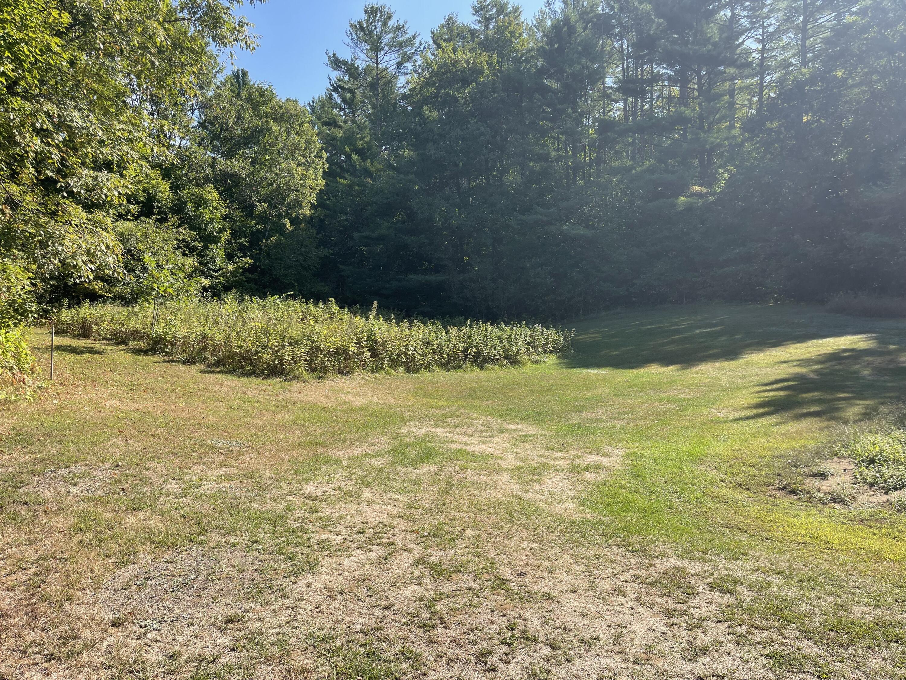 Lot 31-00A Intervale Road, Bethel