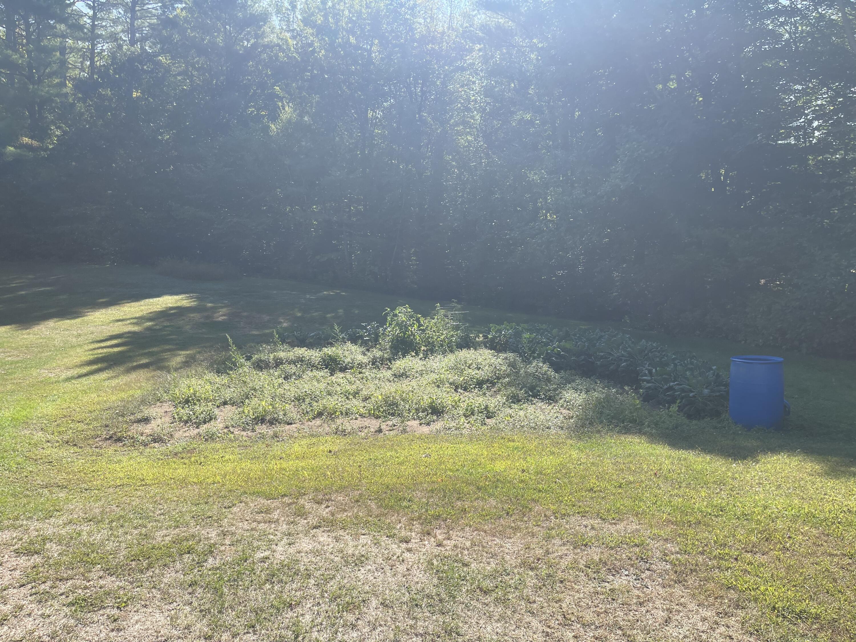 Lot 31-00A Intervale Road, Bethel