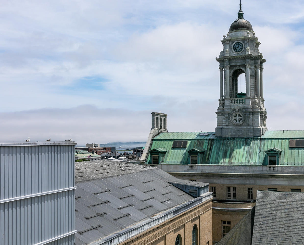 21 Chestnut Street, 203