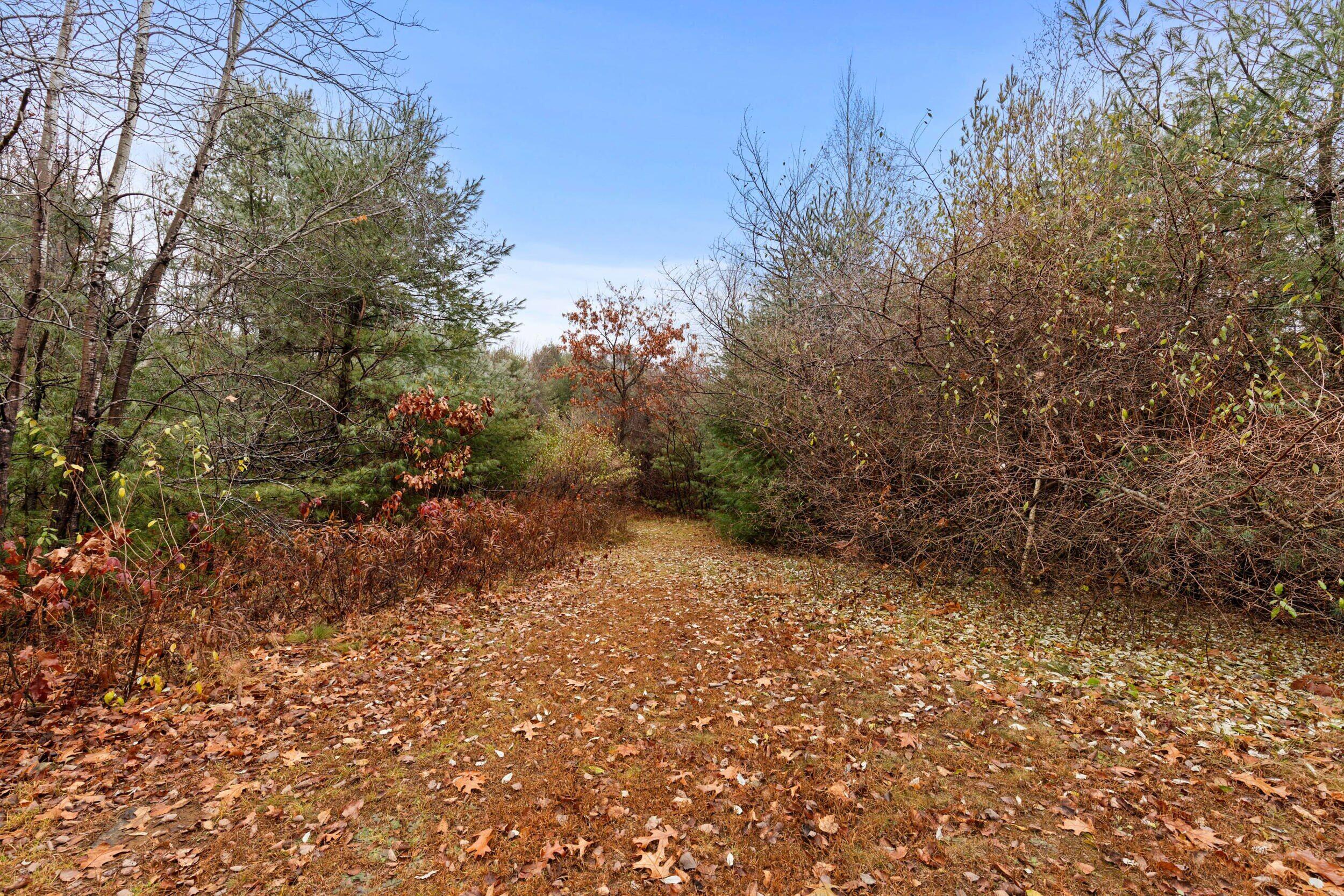 95 Skip Road