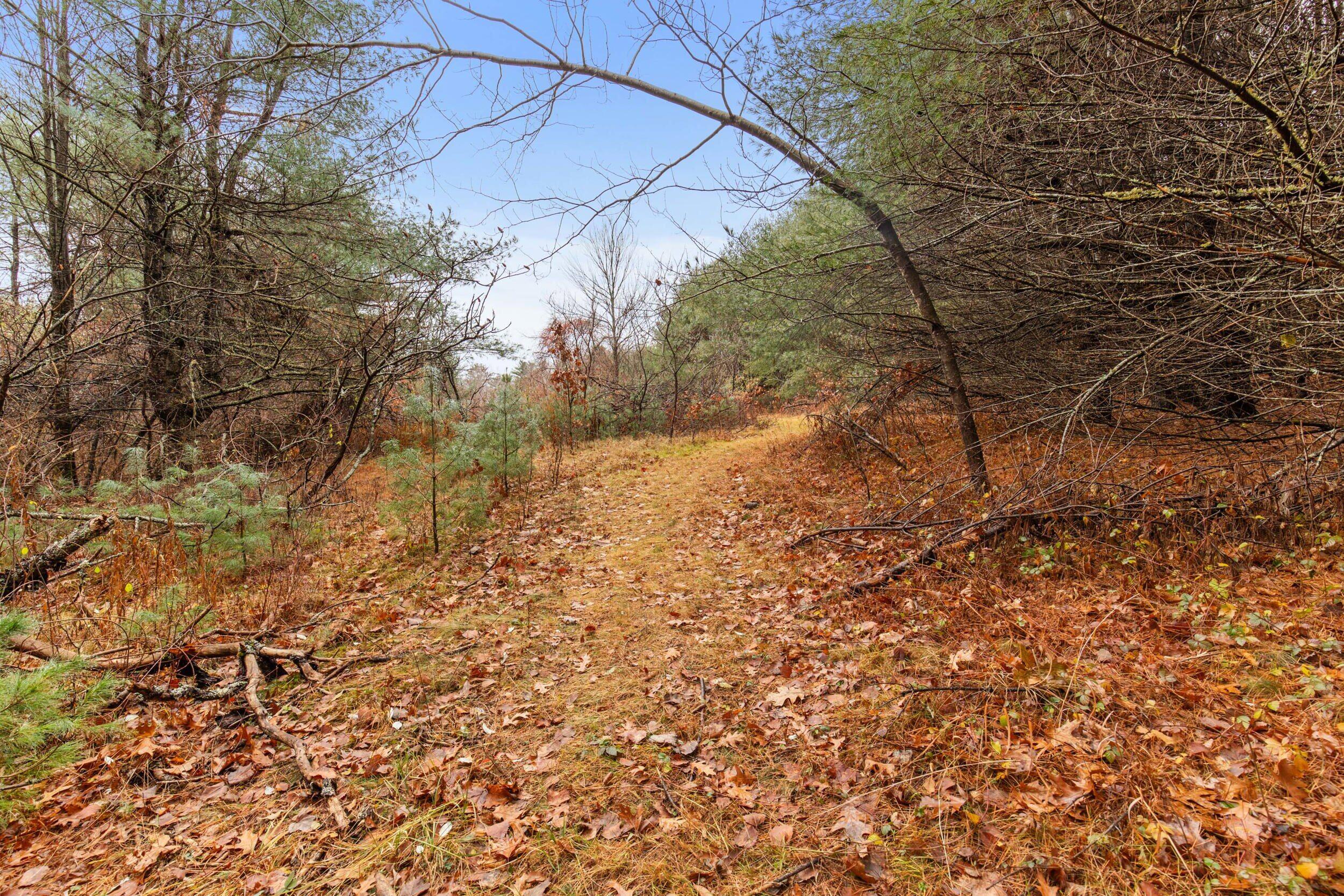 95 Skip Road