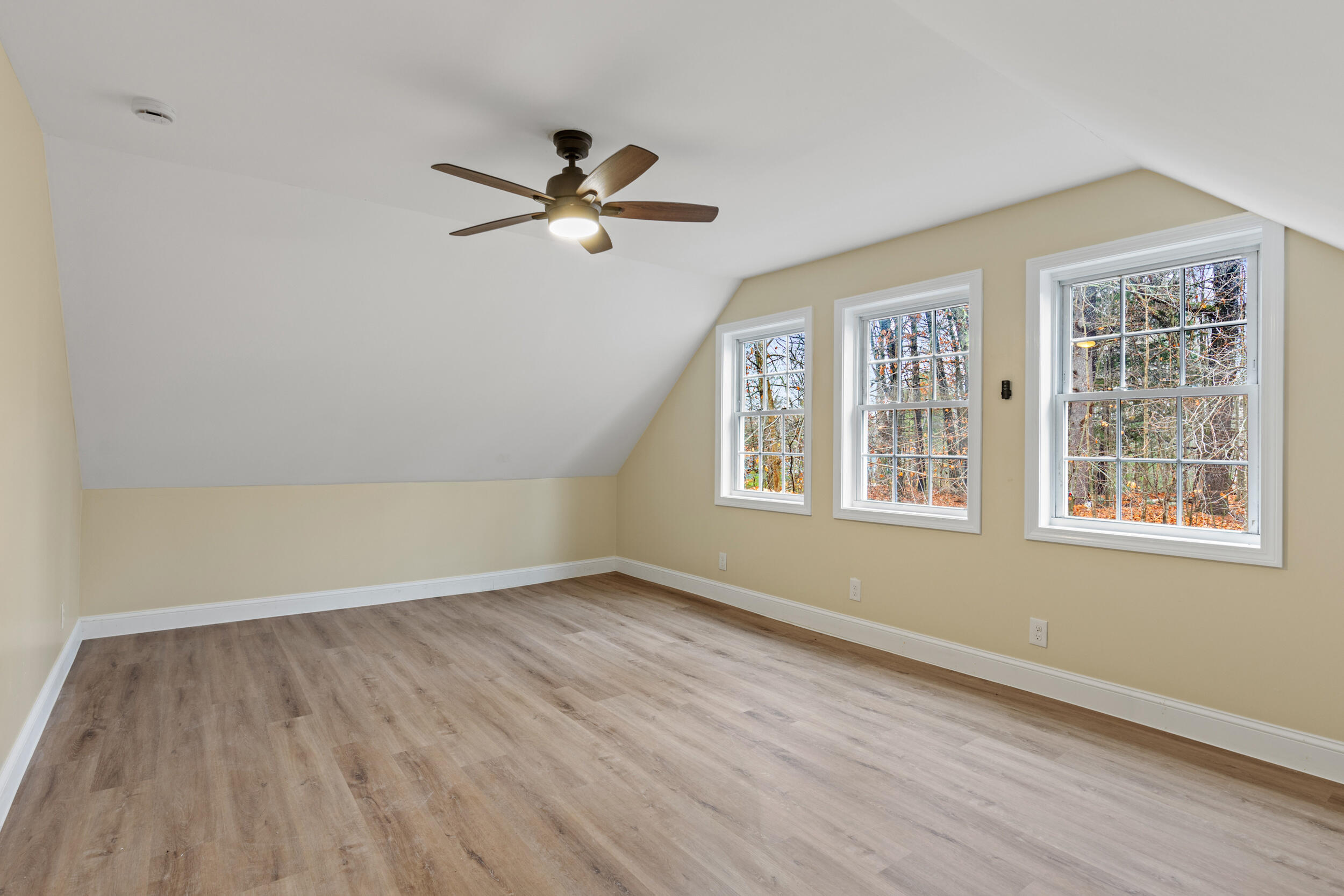 95 Skip Road