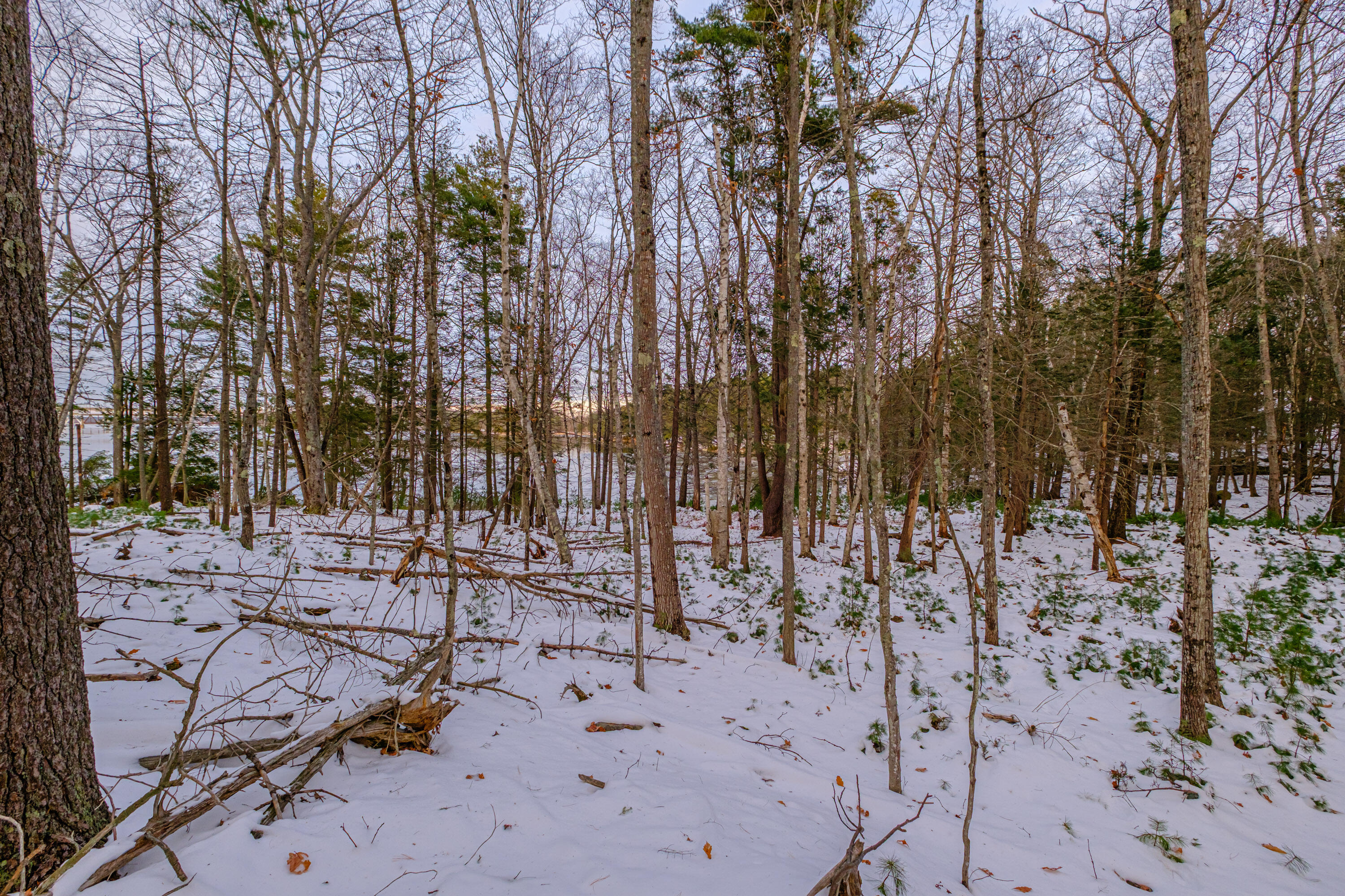 00 Field Road