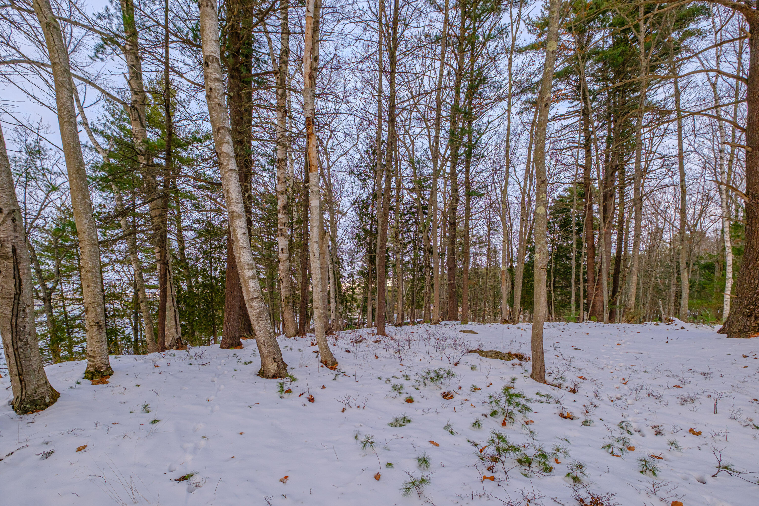 00 Field Road