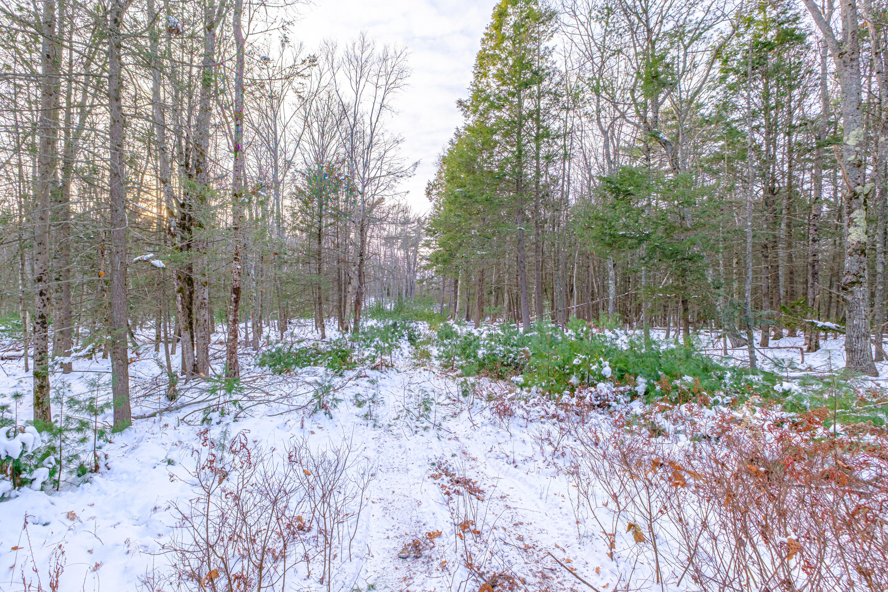 00 Field Road