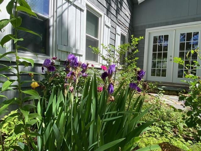 46 Spurwink Avenue