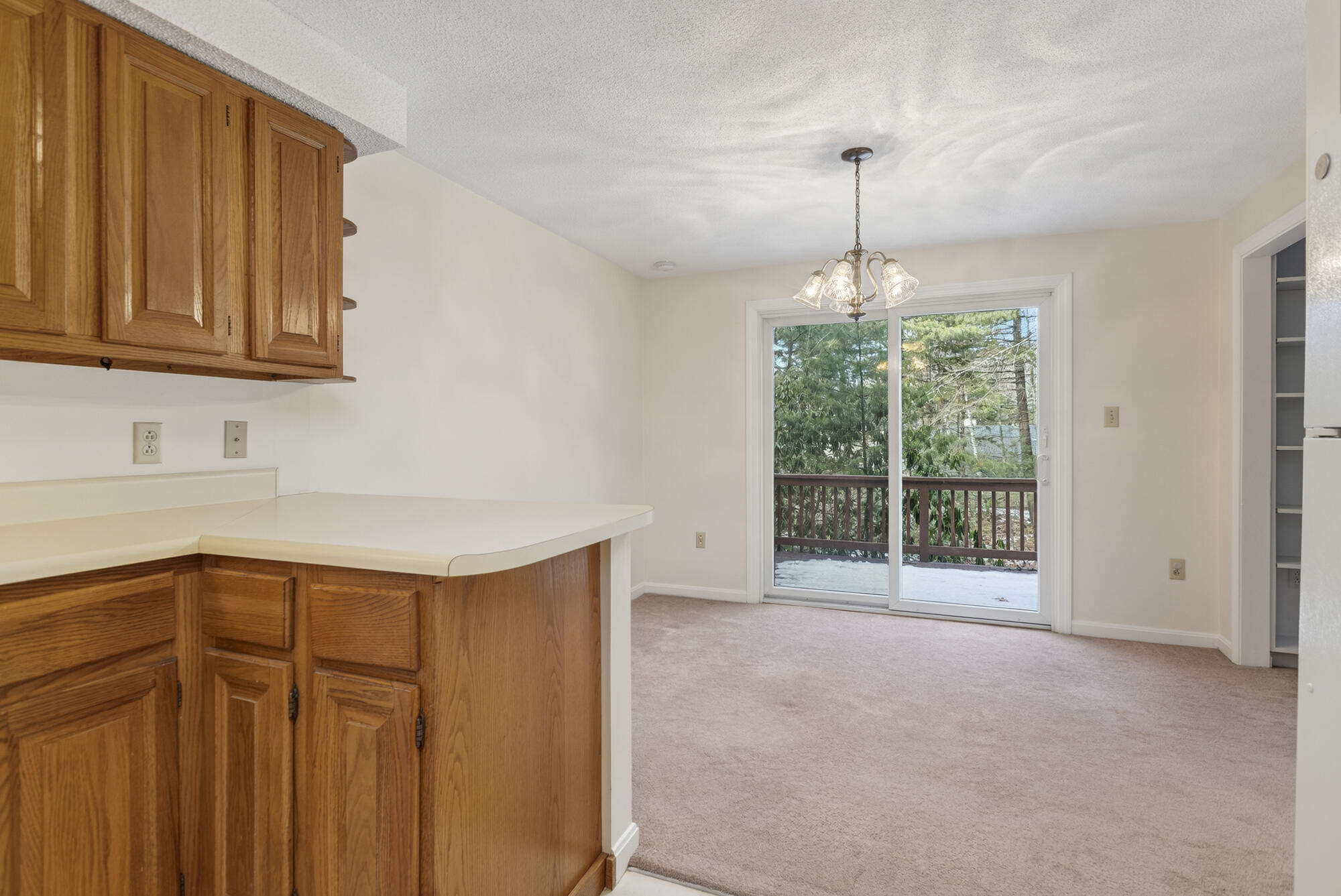 12 Edgecomb Court 12