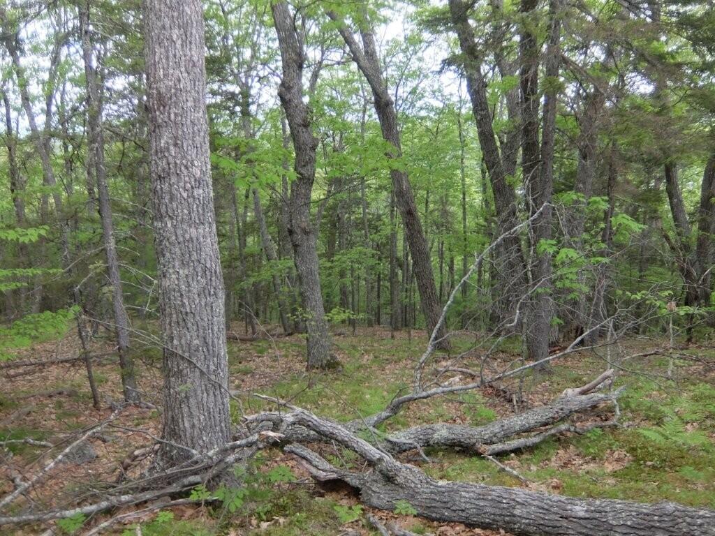 0 Hatchet Mountain Road