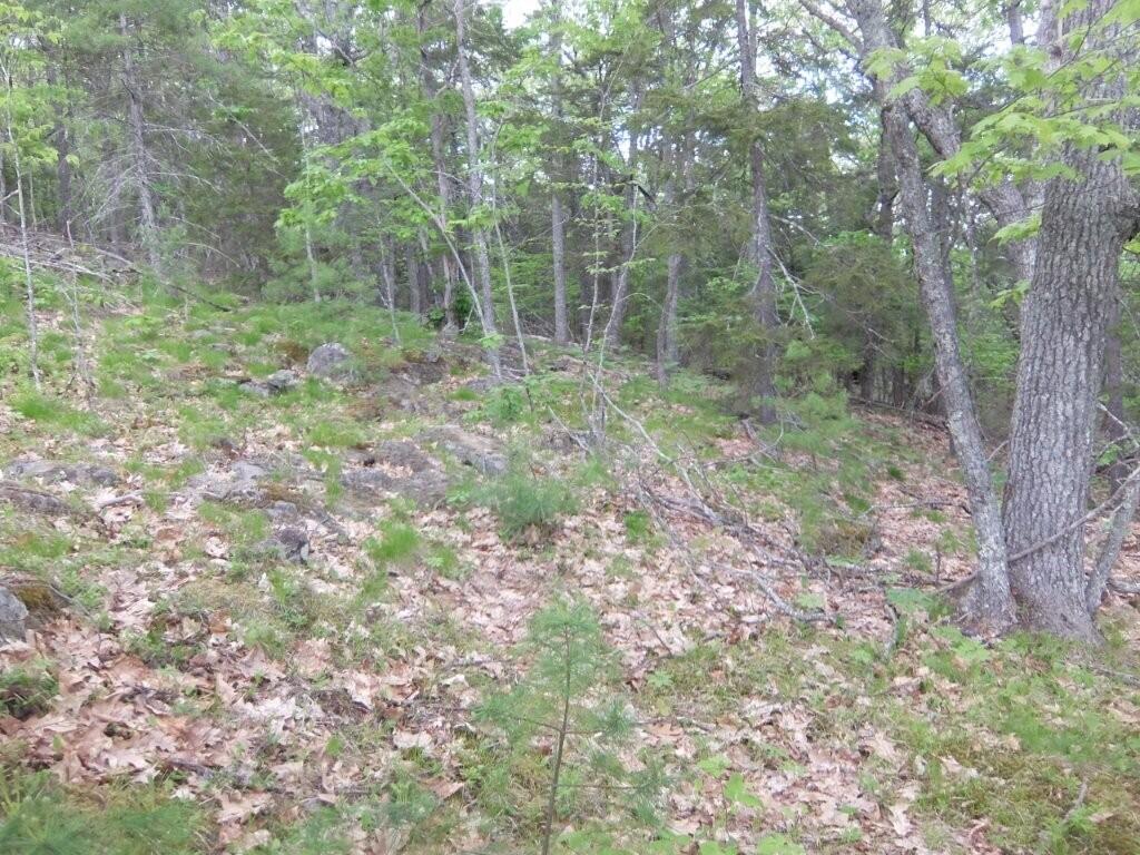 0 Hatchet Mountain Road