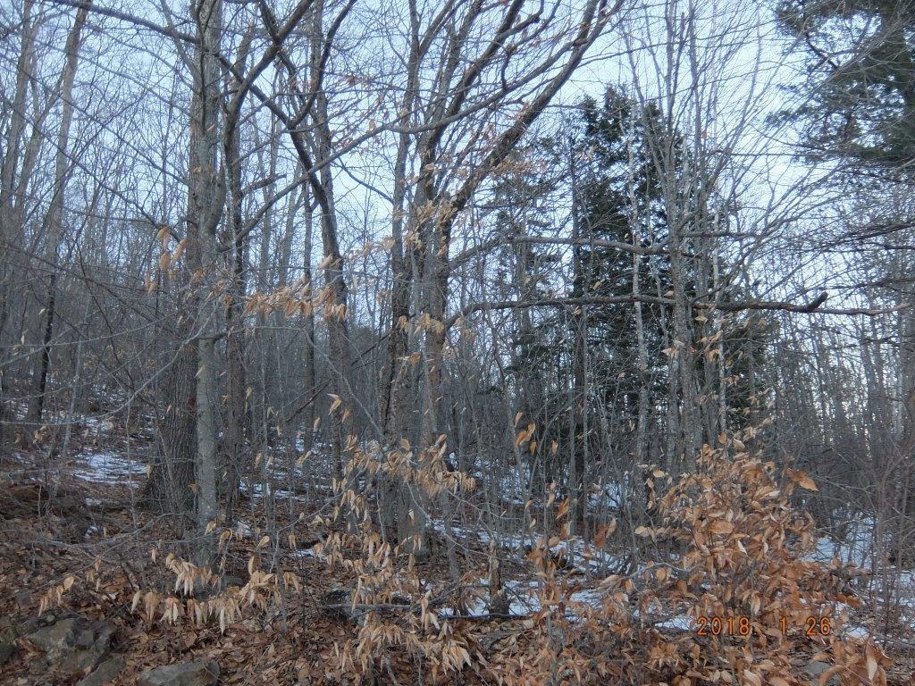 0 Hatchet Mountain Road