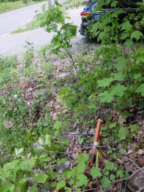 0 Hatchet Mountain Road