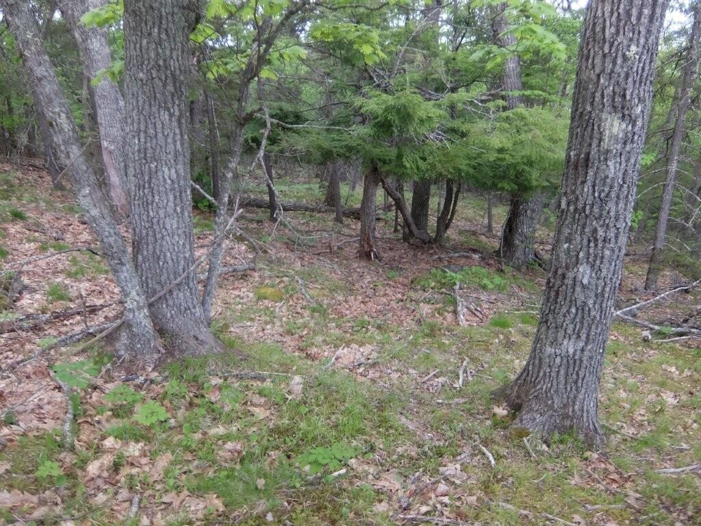 0 Hatchet Mountain Road