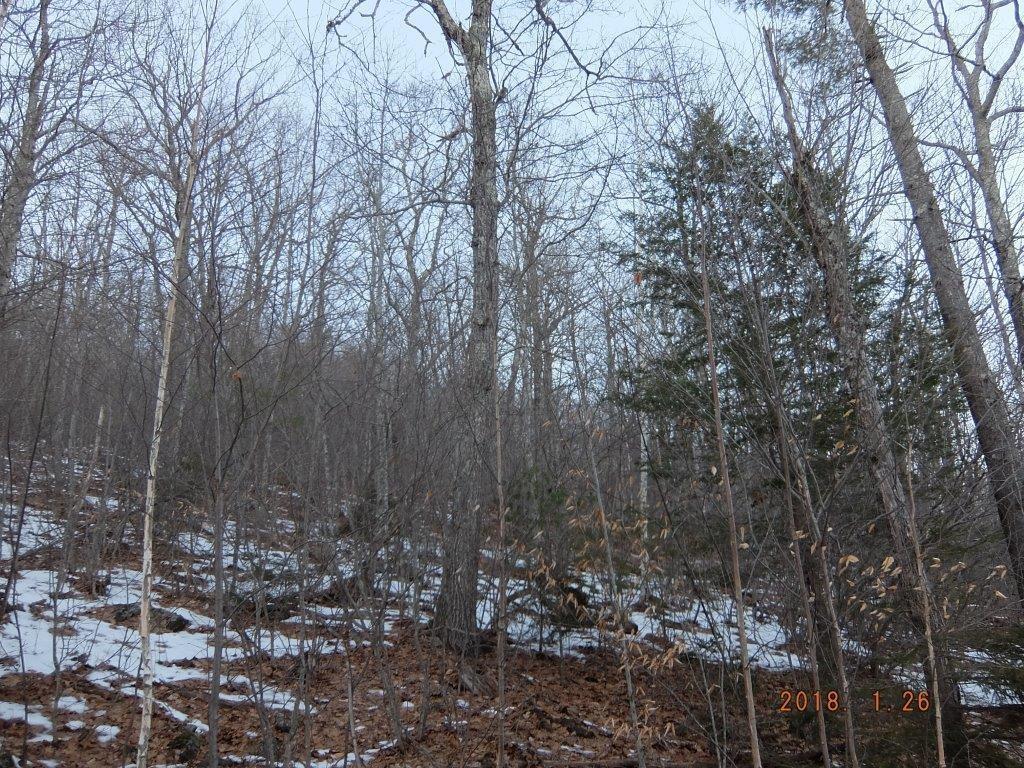 0 Hatchet Mountain Road