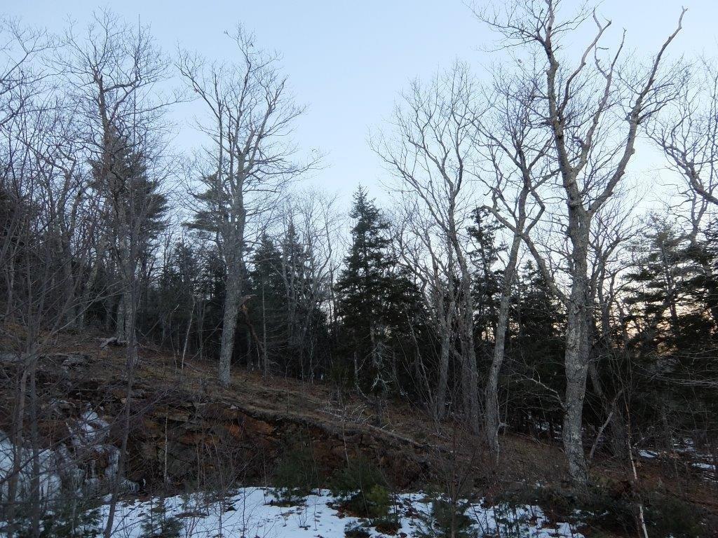 0 Hatchet Mountain Road