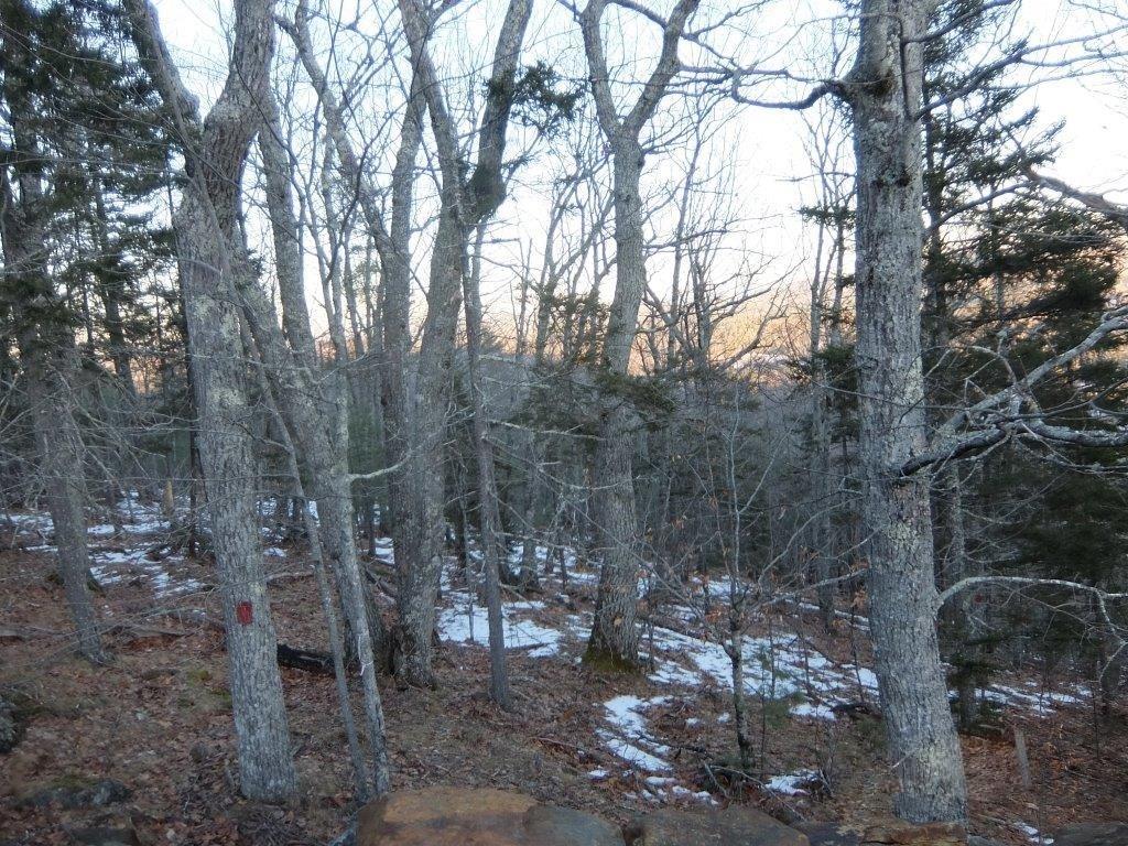 0 Hatchet Mountain Road