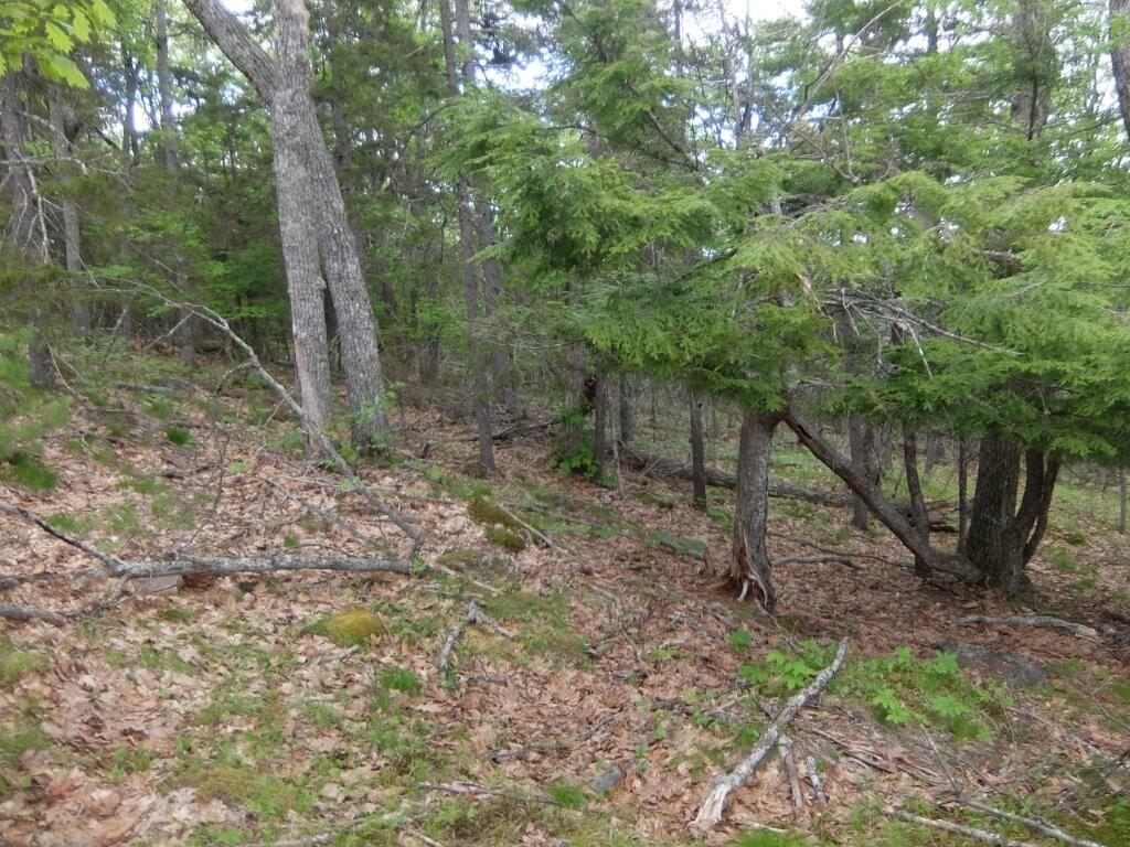 0 Hatchet Mountain Road