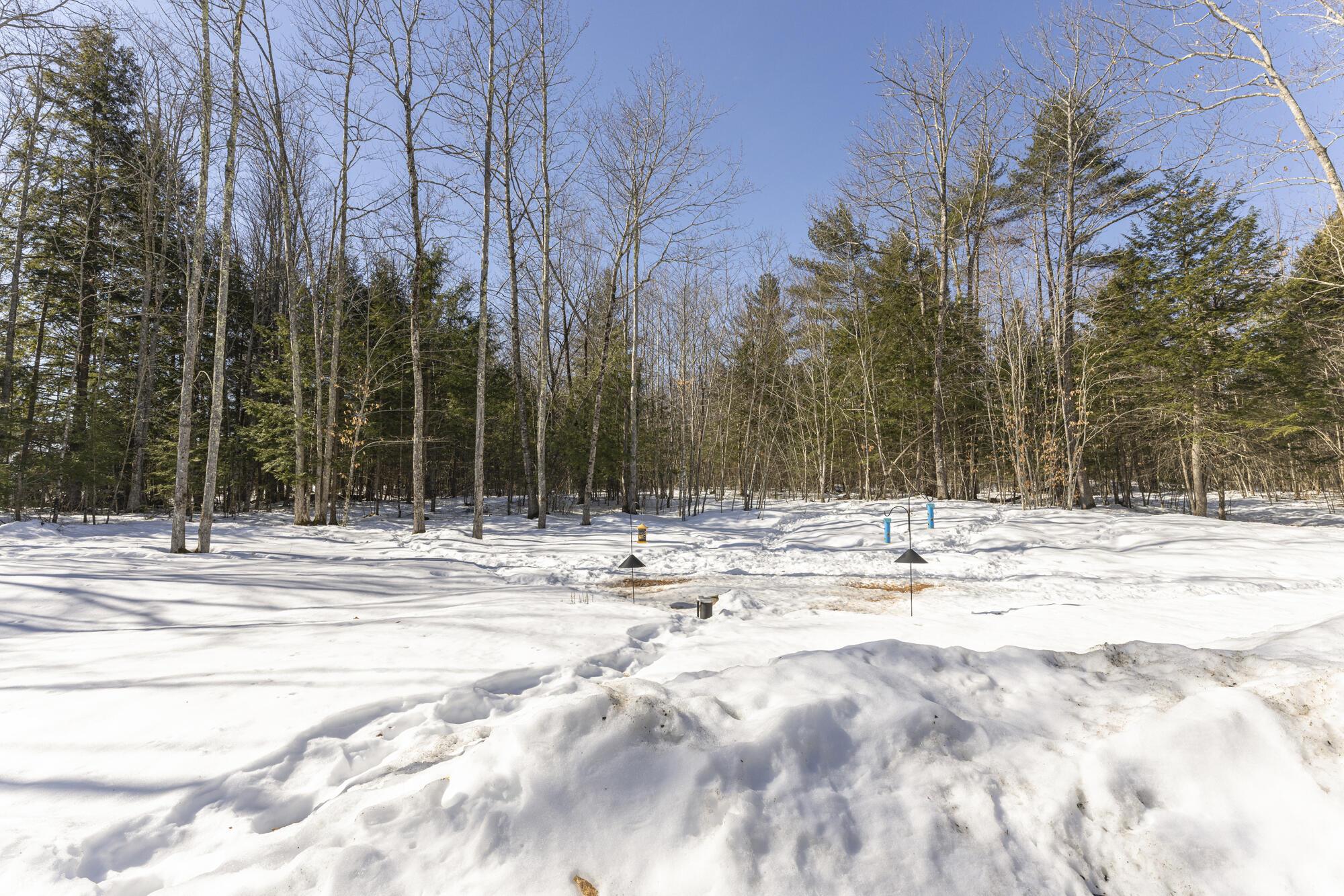 71 Chicopee Road
