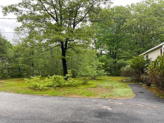 48 Blueberry Lane