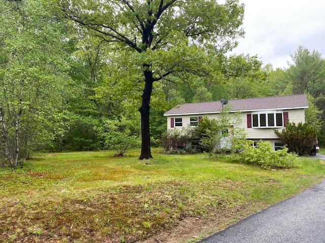 48 Blueberry Lane