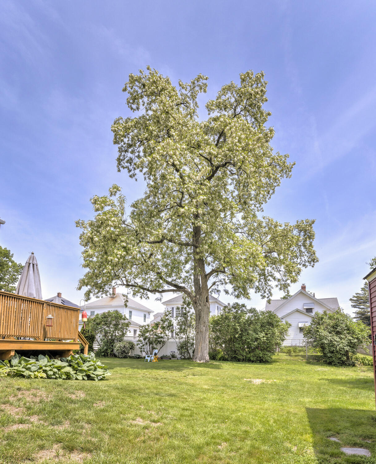 54 Mitchell Road