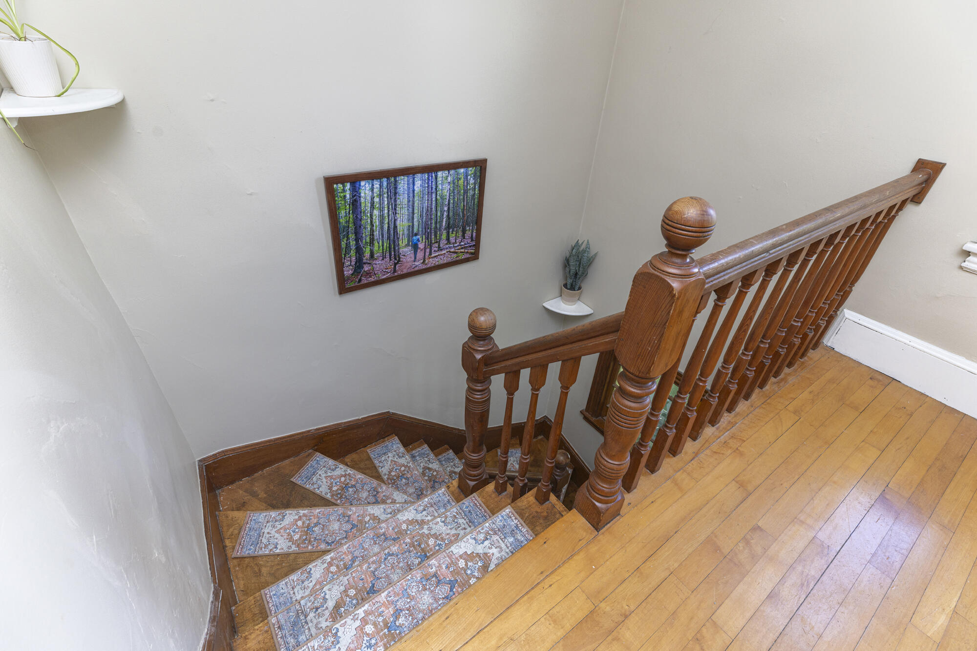 32 Arcadia Street
