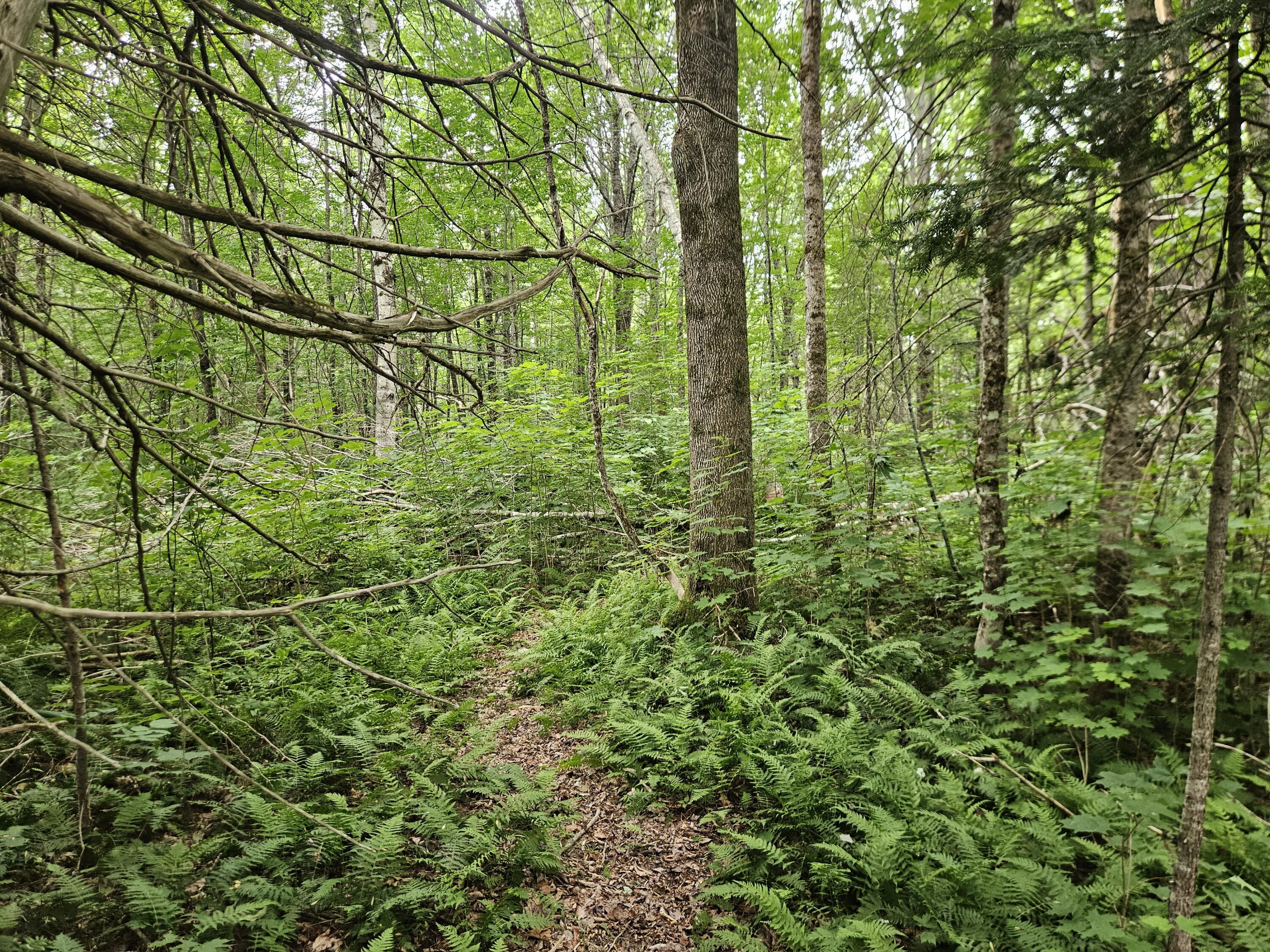 10 Moosehorn Road