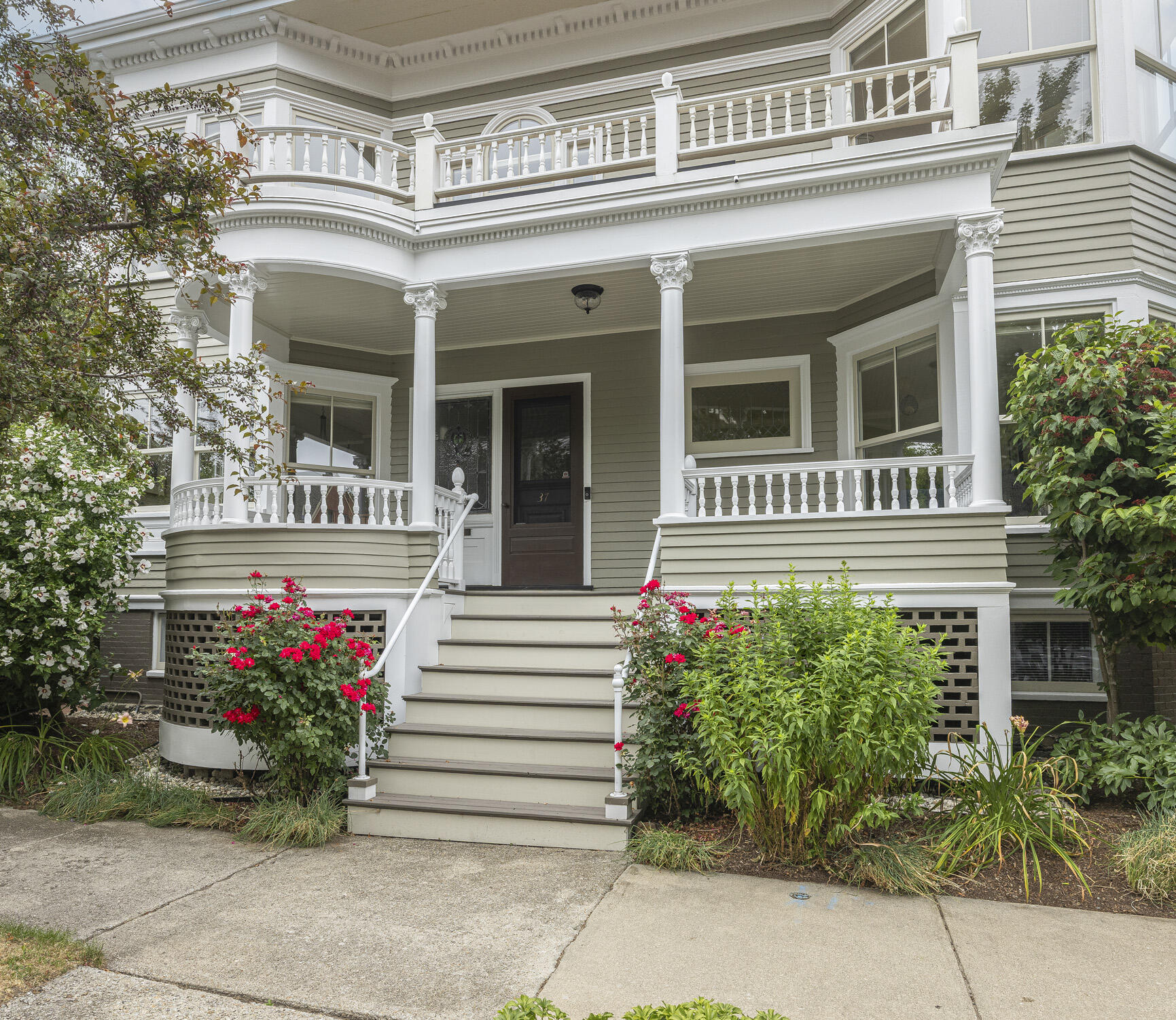 37 Carroll Street