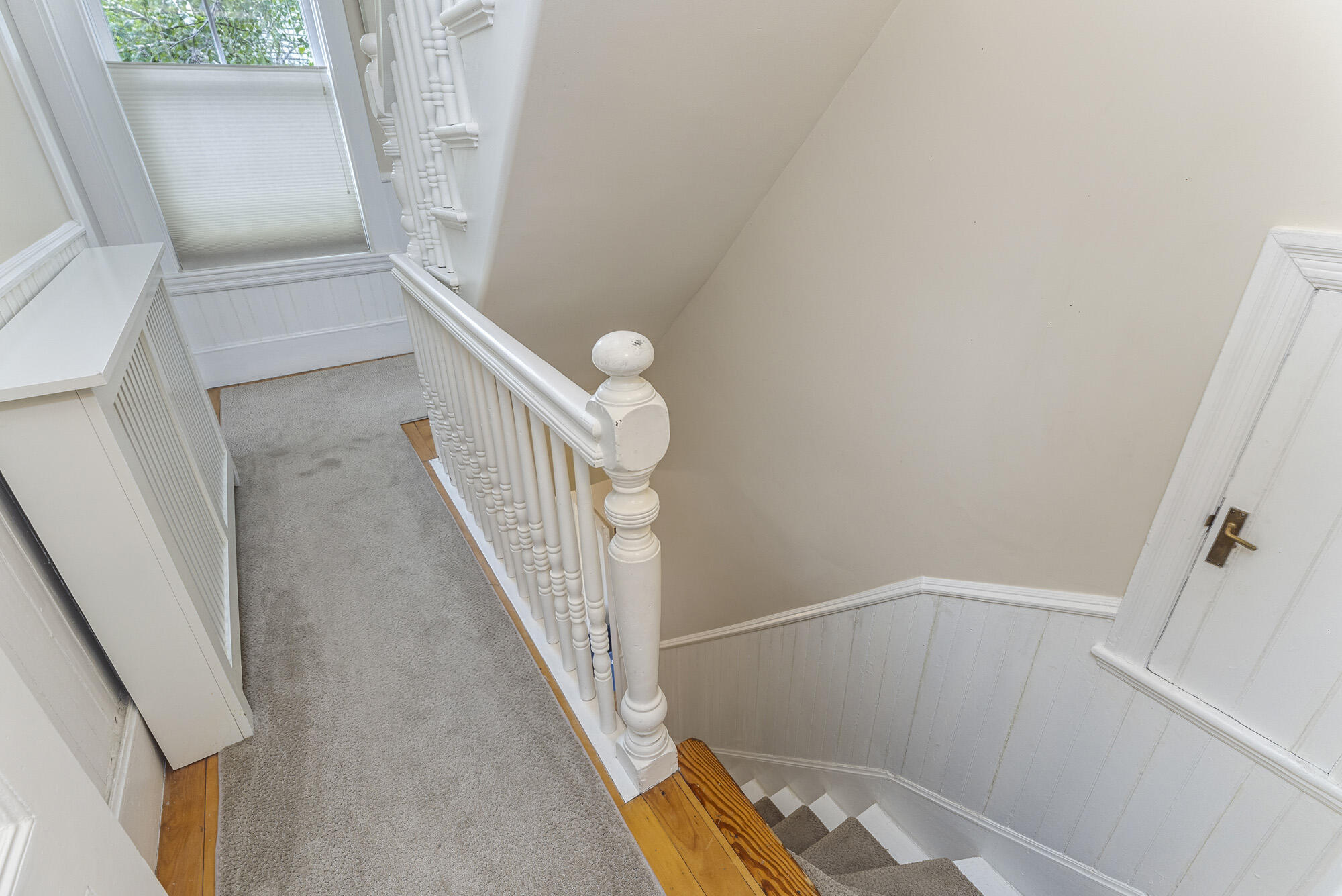 37 Carroll Street