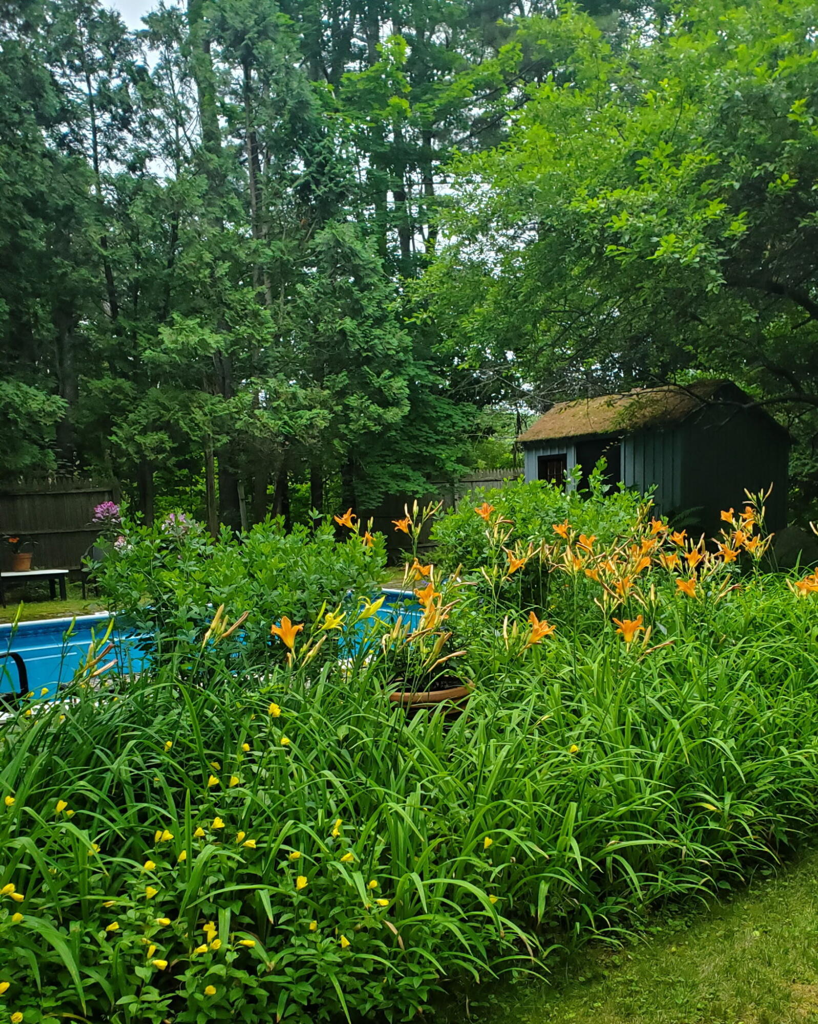 59 Hardy Road