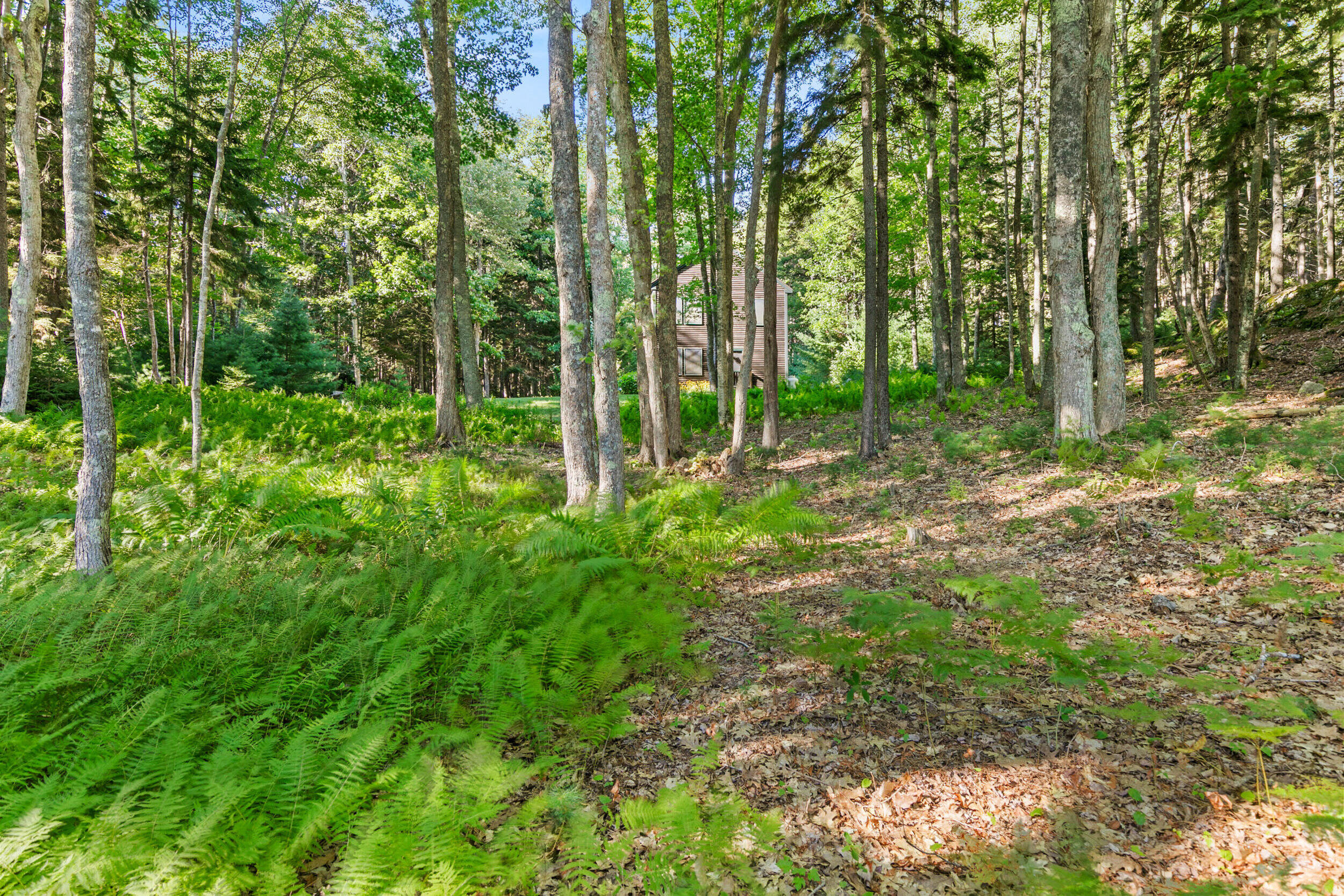 71 Marsh Cove Drive