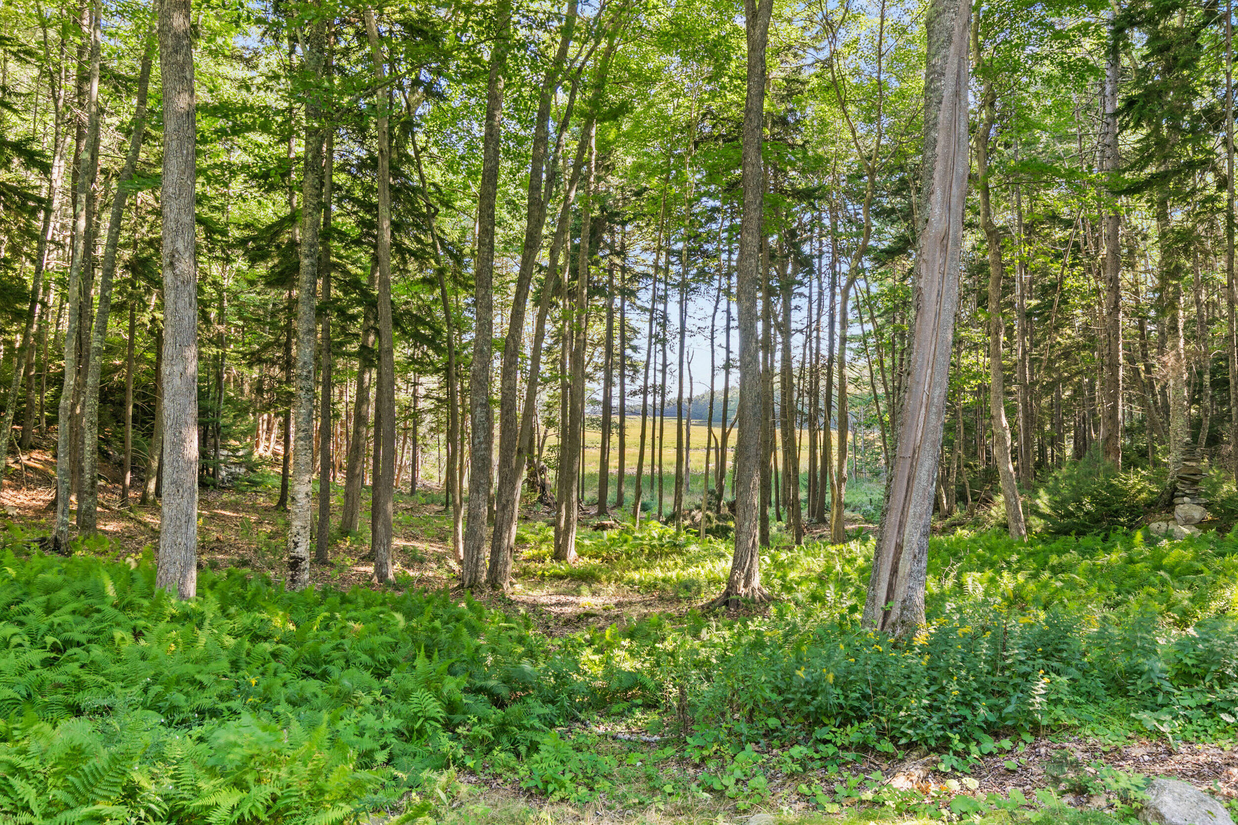 71 Marsh Cove Drive