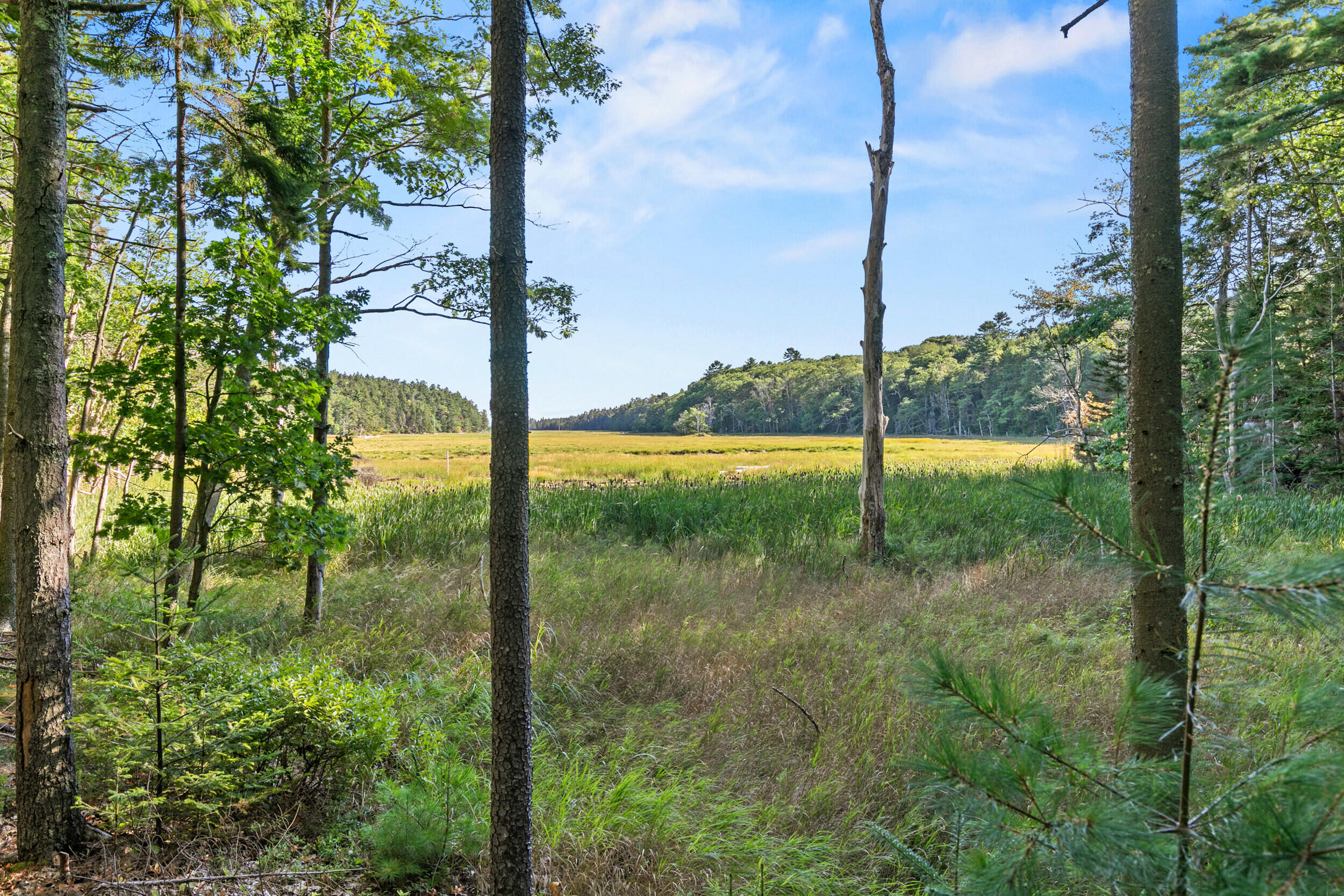 71 Marsh Cove Drive