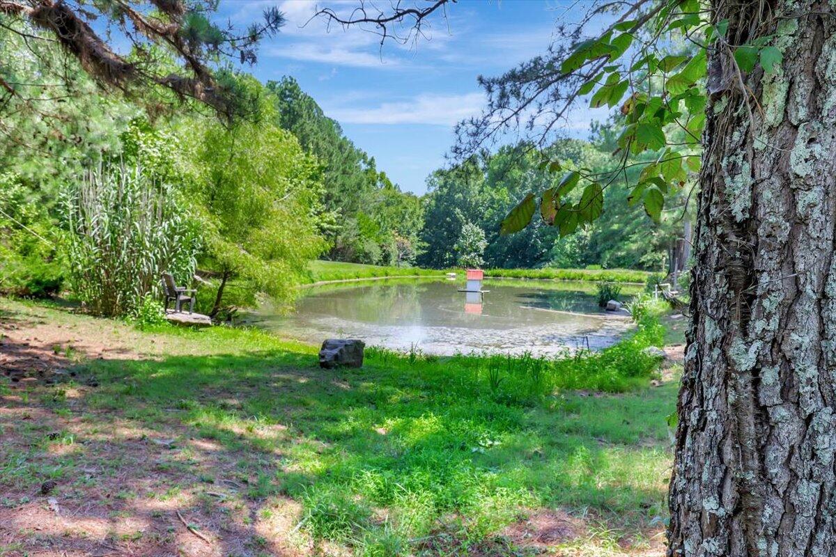 128 Shadow Springs Trail