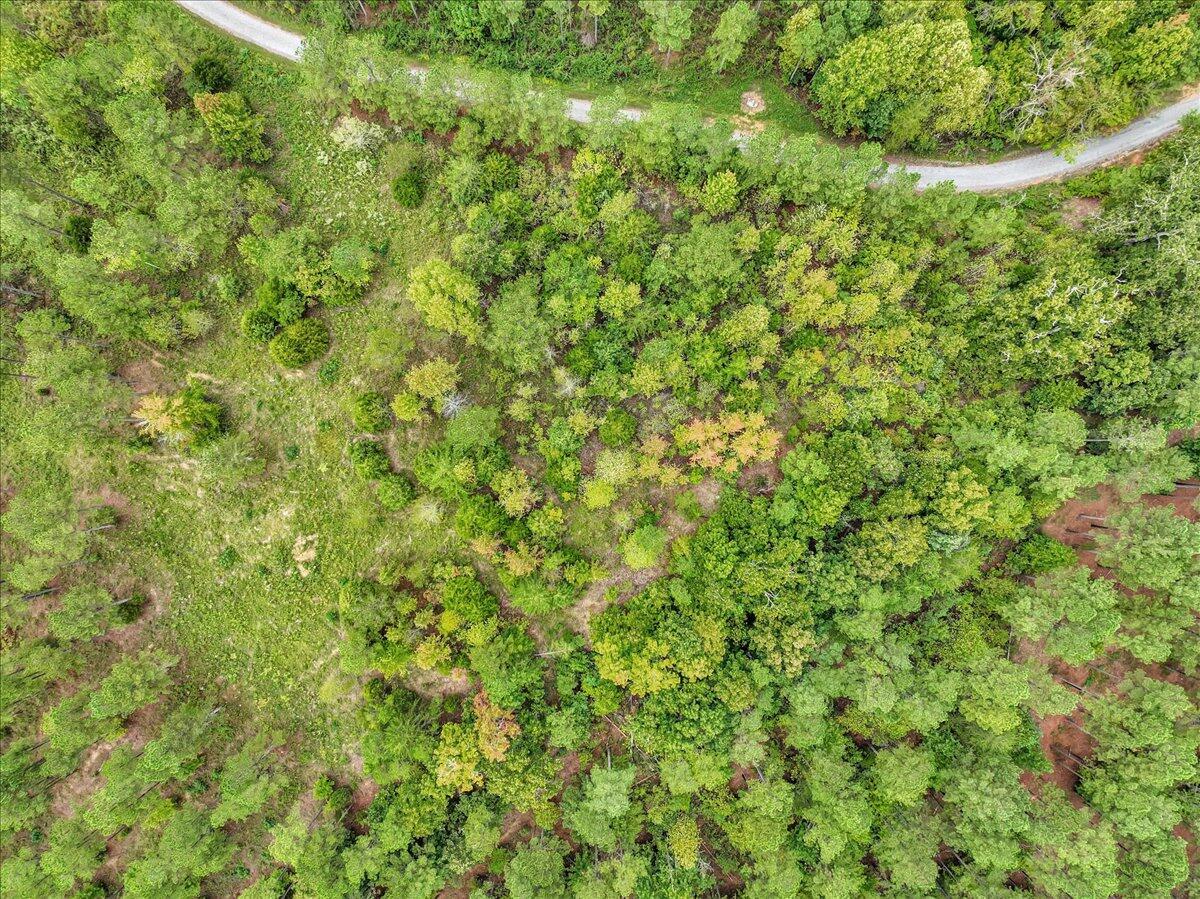 Tract 17 K Armstrong Ferry Road