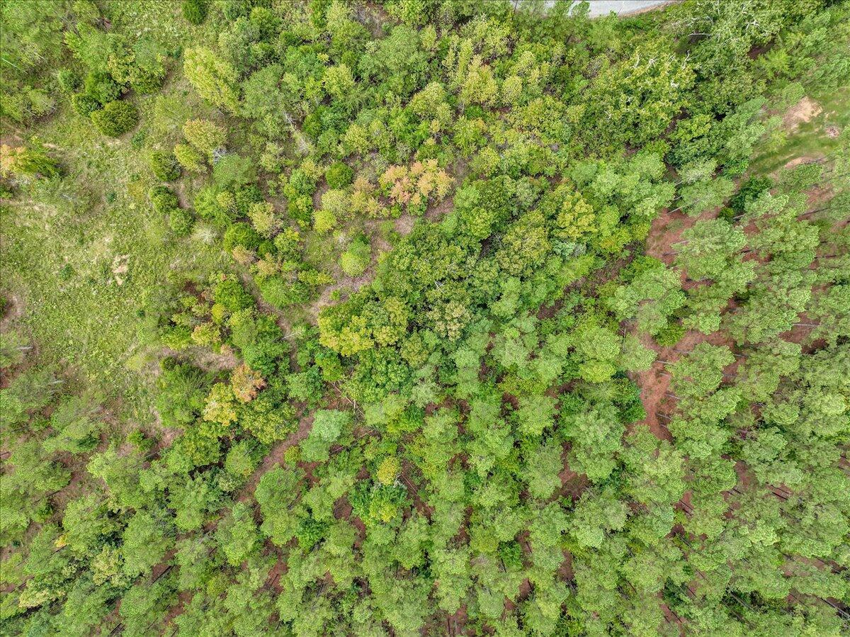 Tract 17 K Armstrong Ferry Road