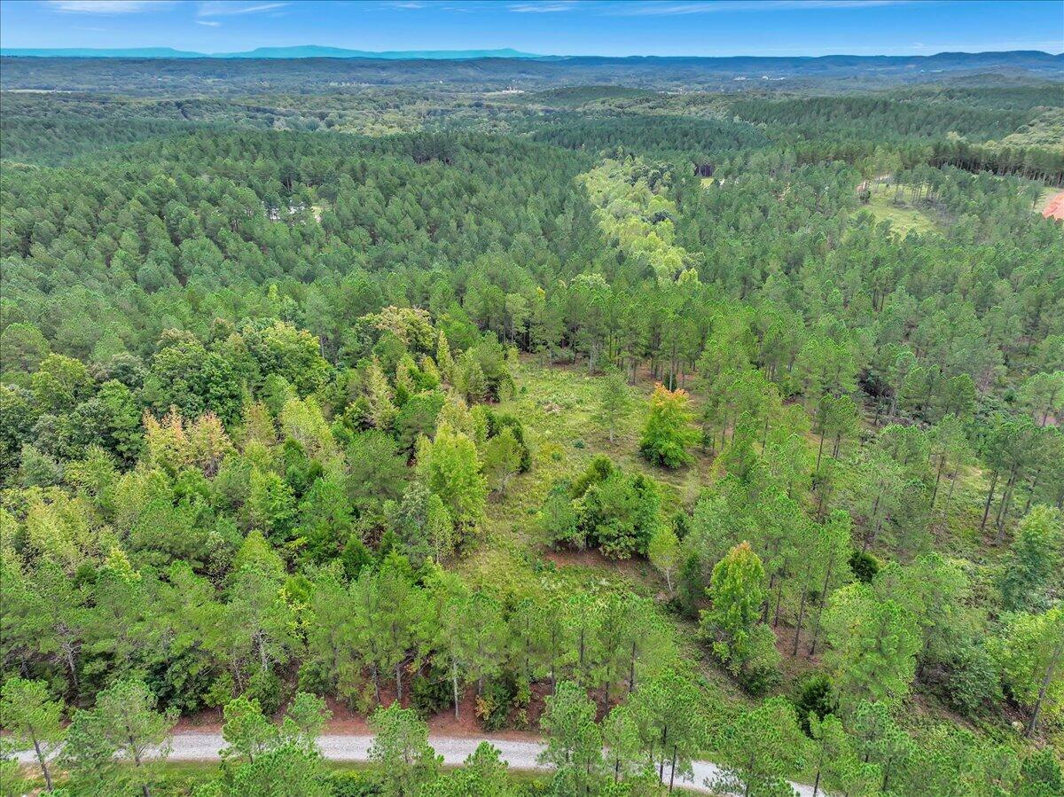 Tract 17 K Armstrong Ferry Road