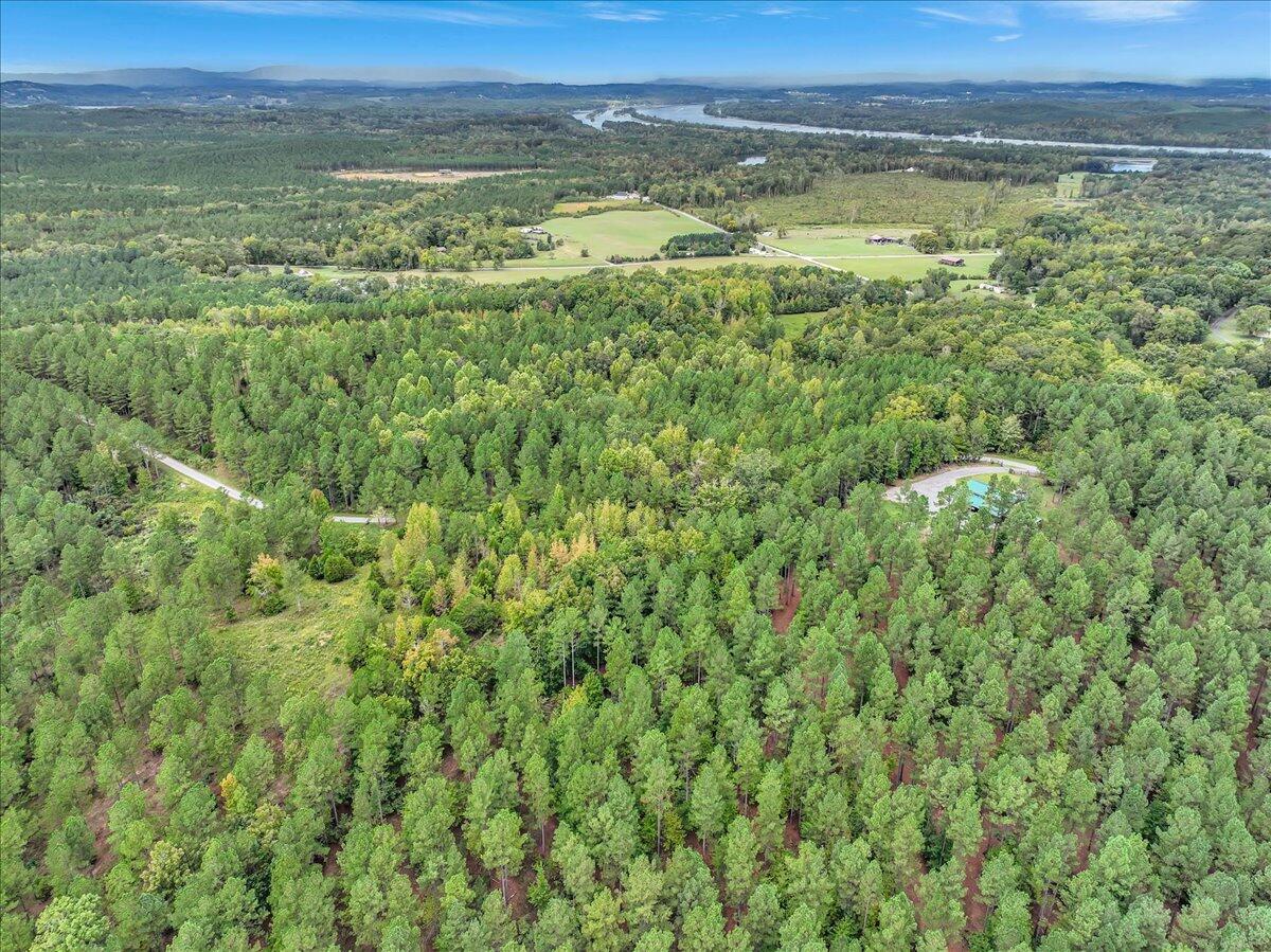 Tract 17 K Armstrong Ferry Road