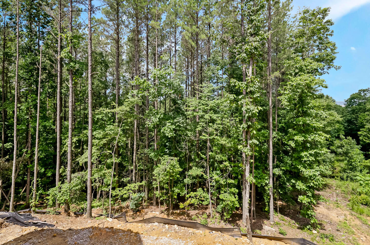 4545 Split Rail Way, Lot #1142