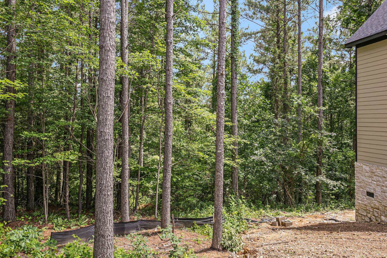 3741 Split Rail Way, Lot #1124