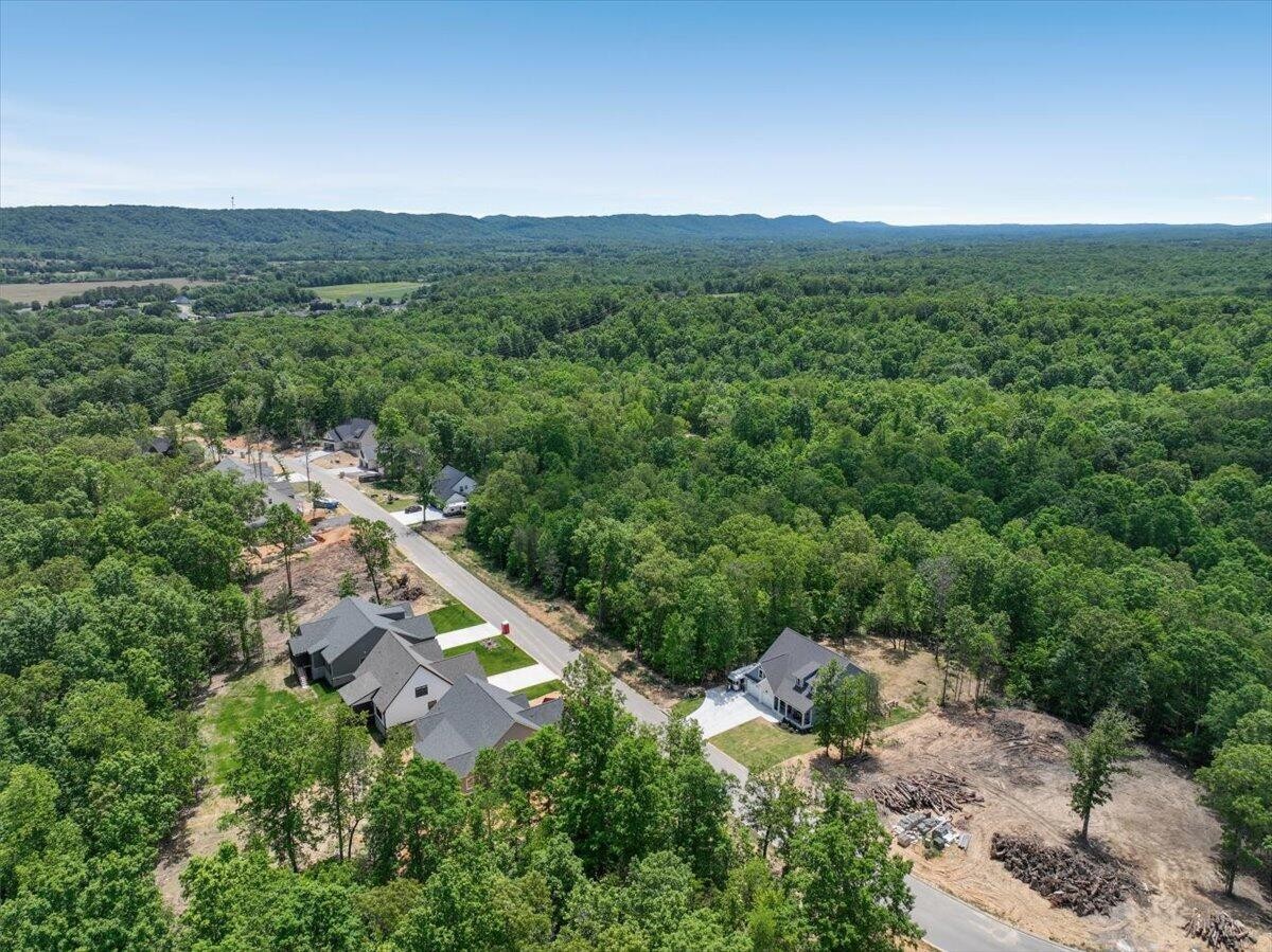 7409 Peytons Rise Way Unit: Lot #39